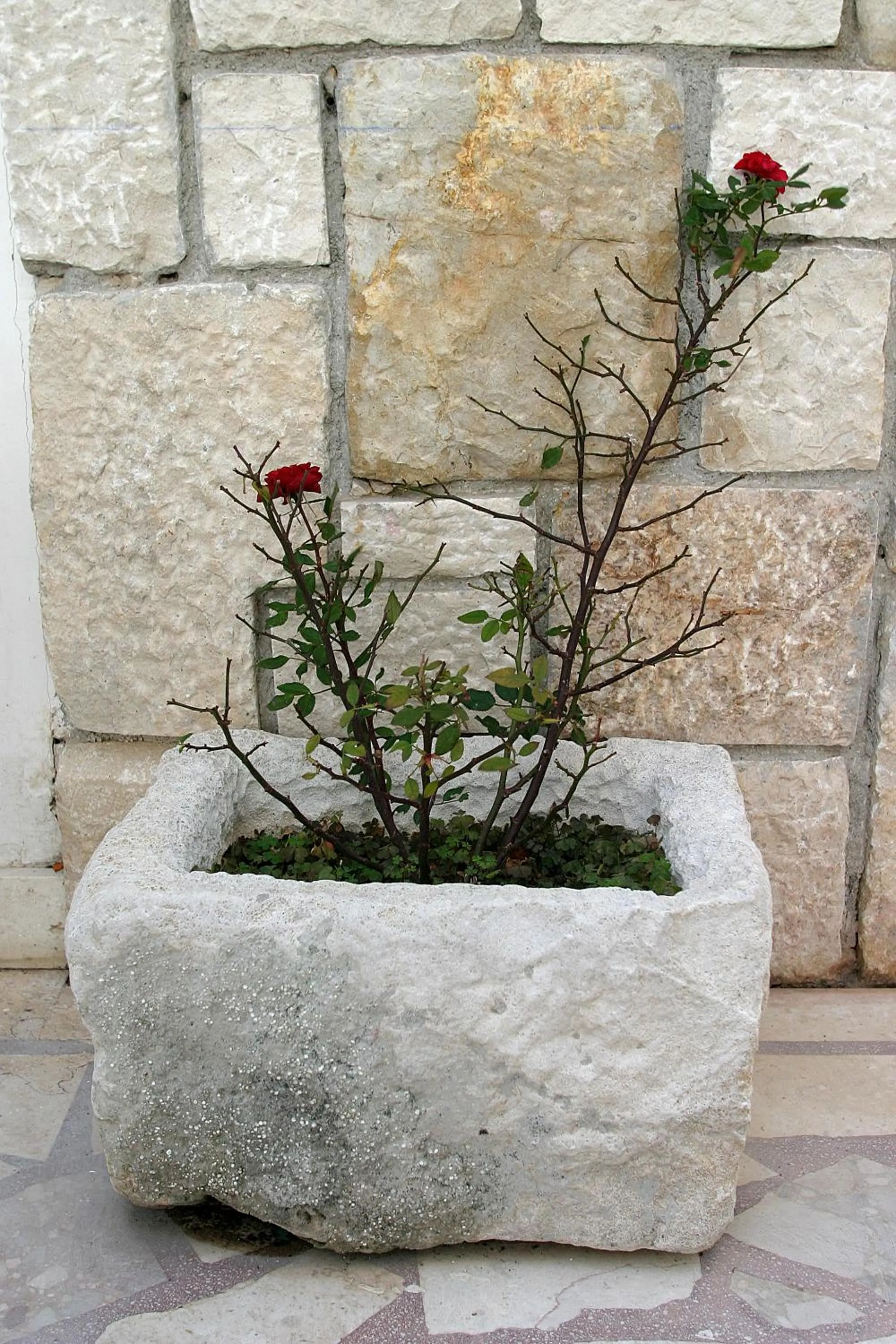 Decorative detail in Villa Rustica Dalmatia