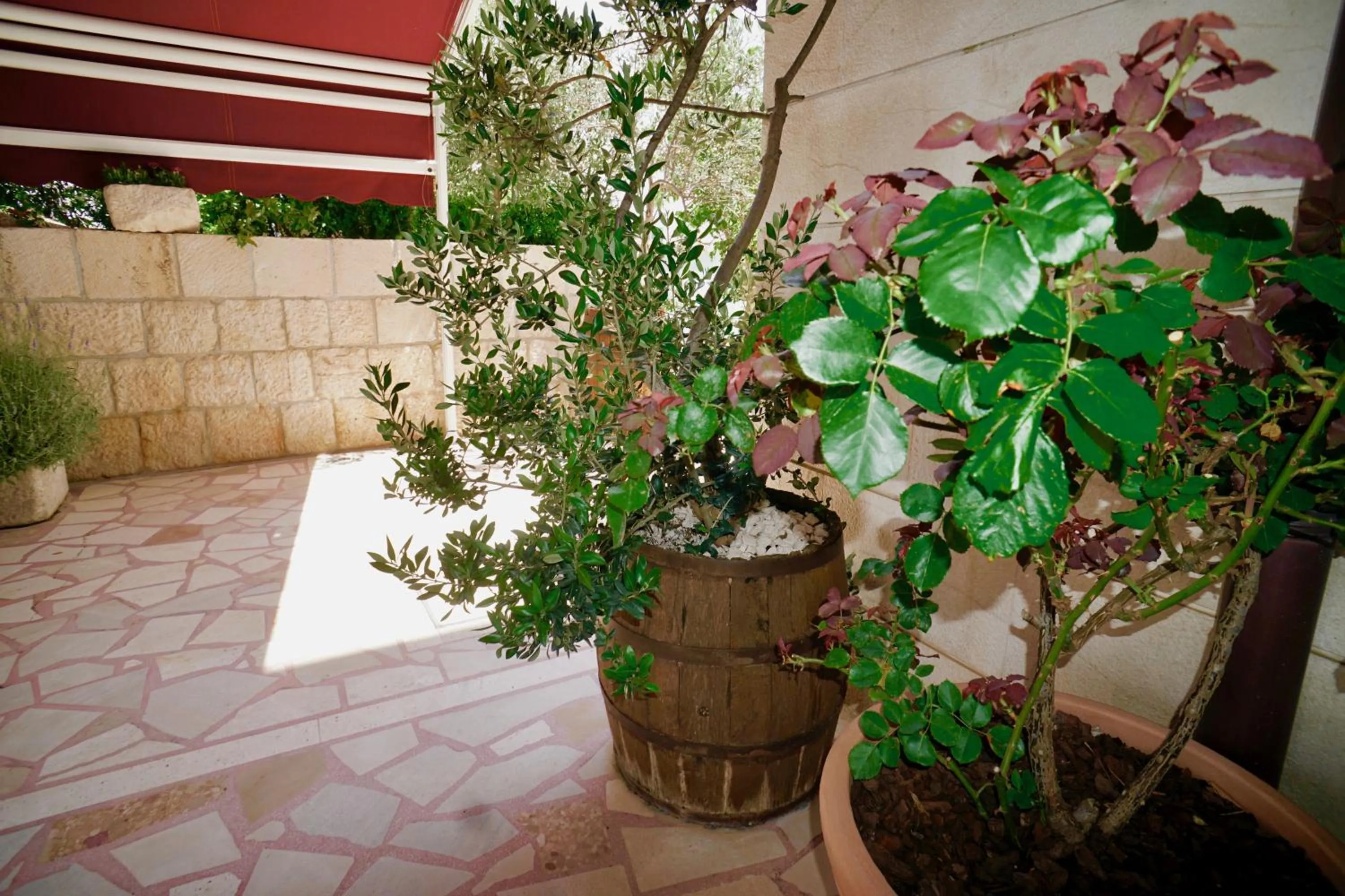 Garden in Villa Rustica Dalmatia