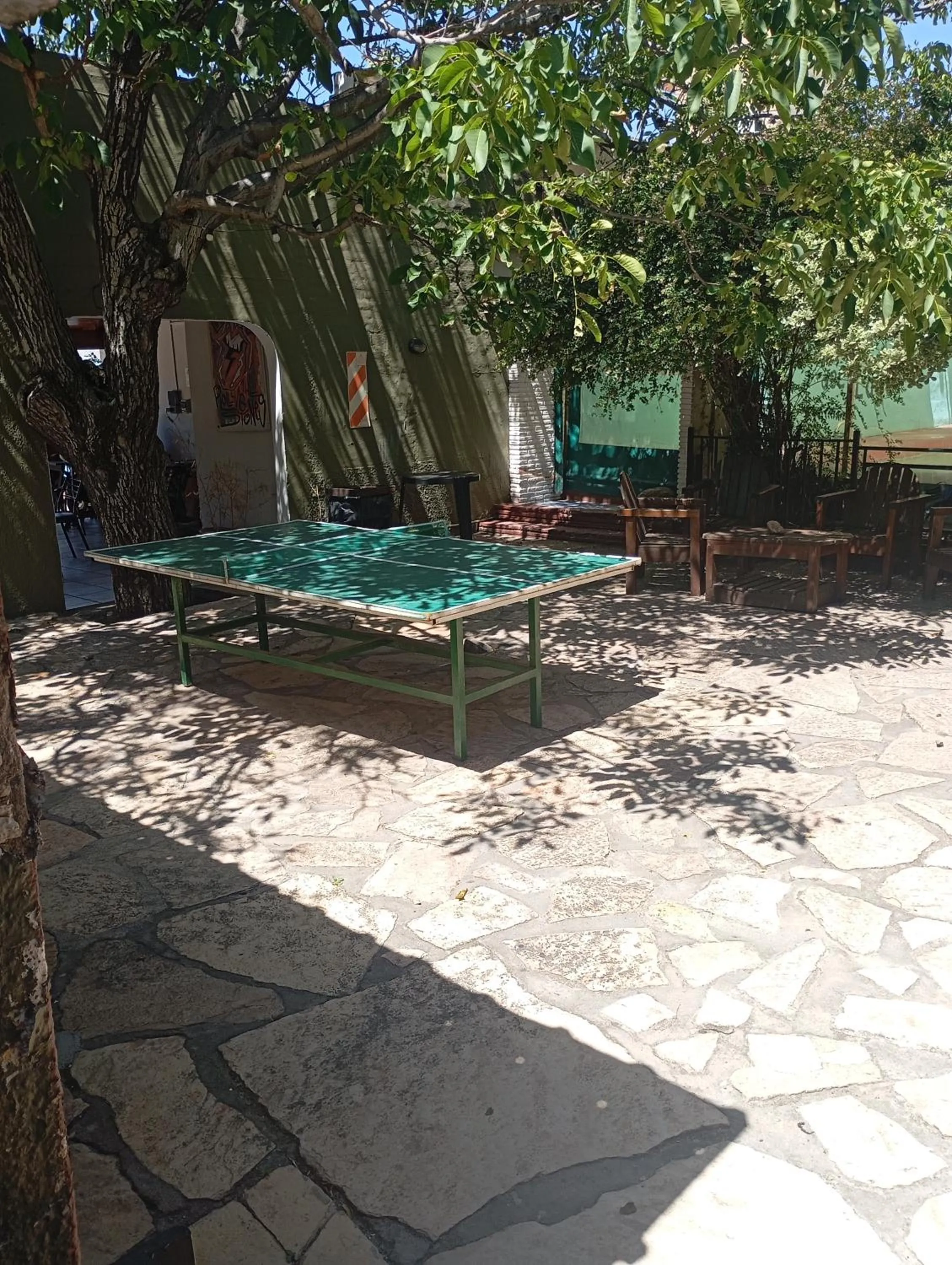Palmas del Lago