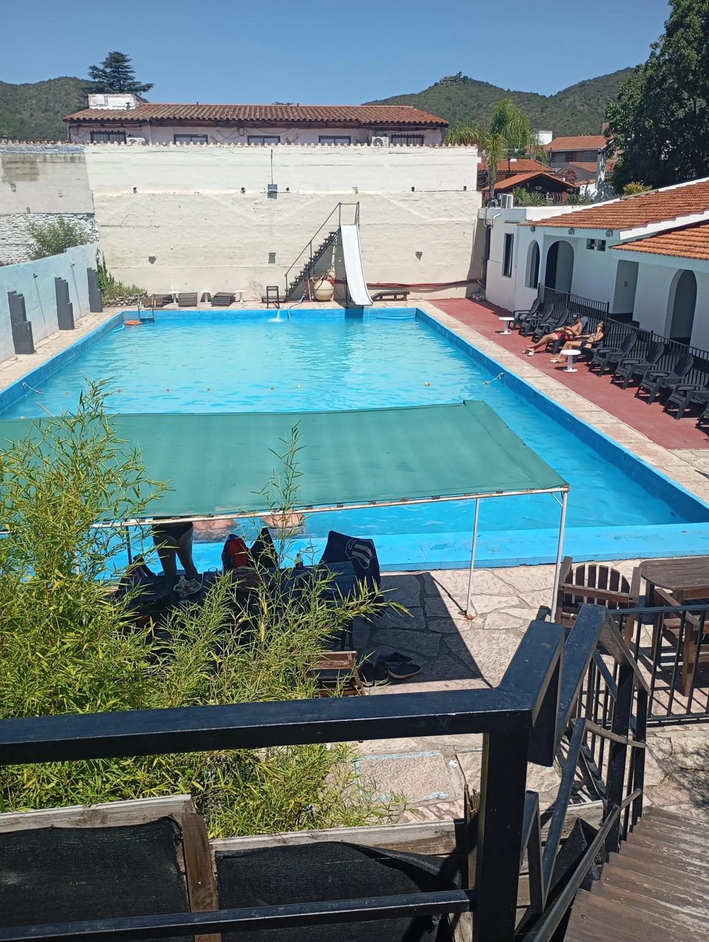 Palmas del Lago