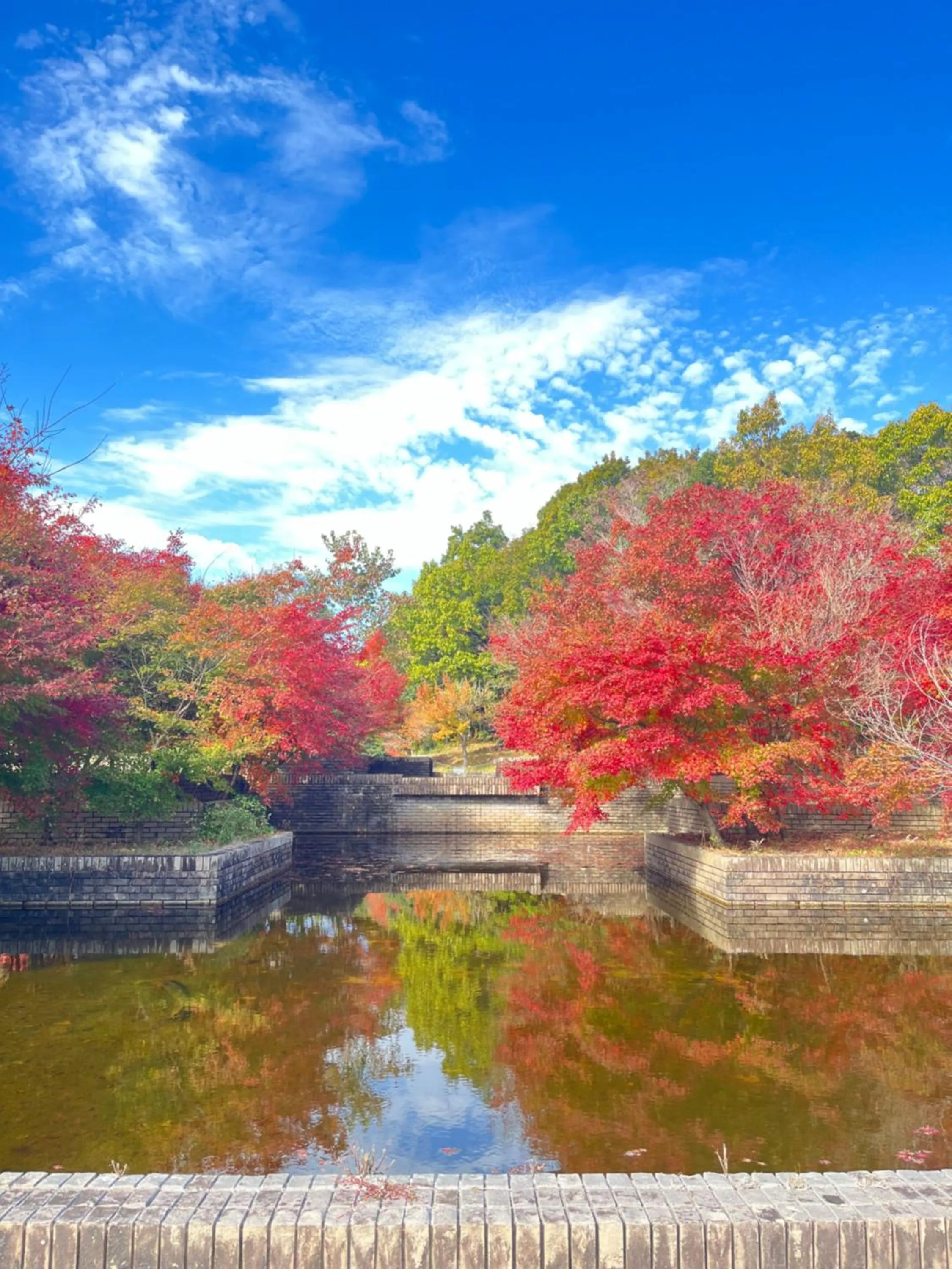 Garden in Greenpia Yame