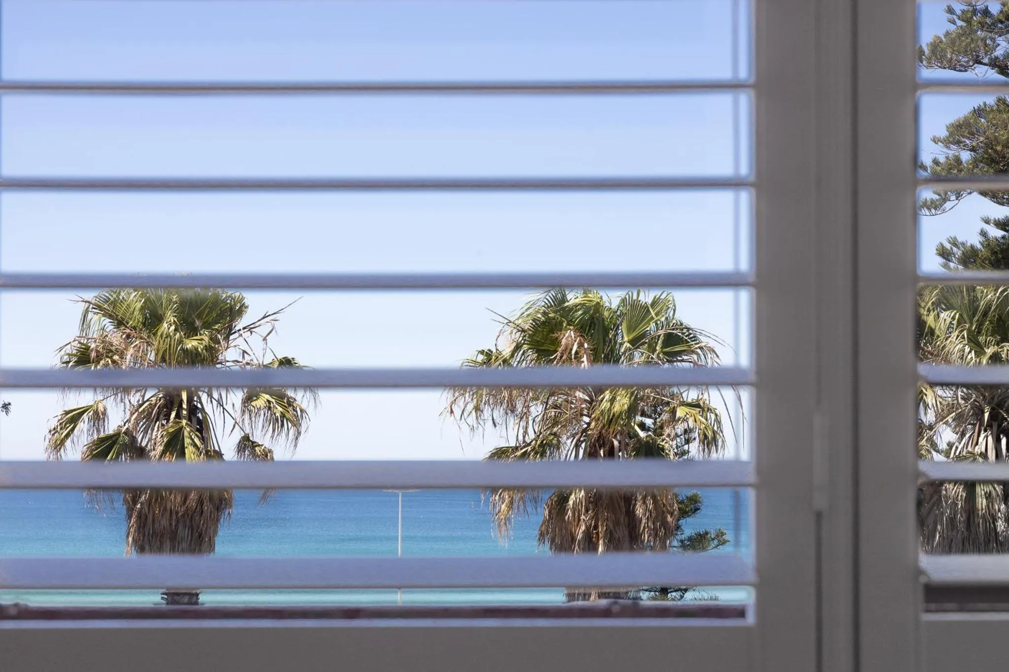 View (from property/room) in Wake Up! Bondi Beach