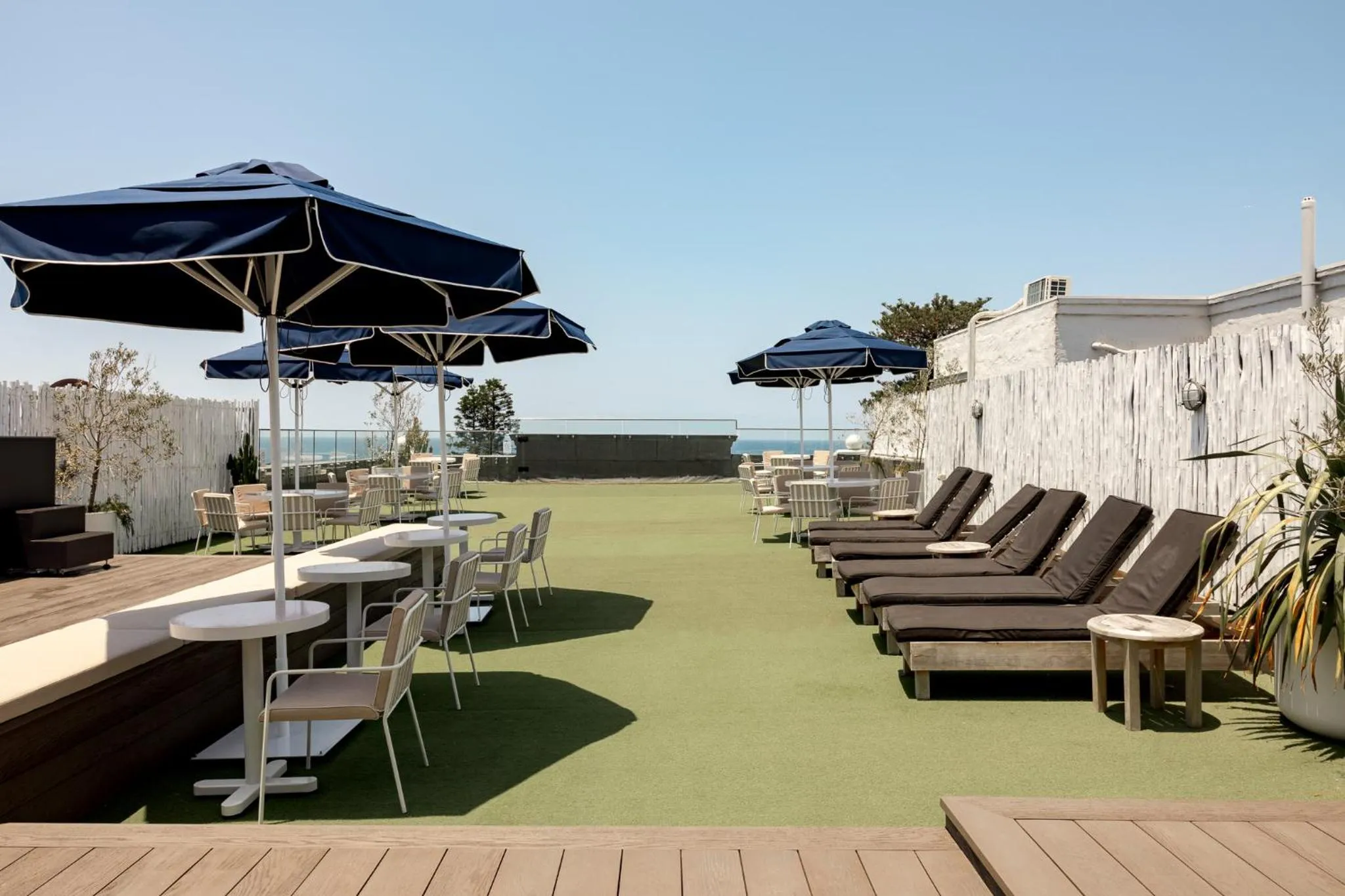 Wake Up! Bondi Beach