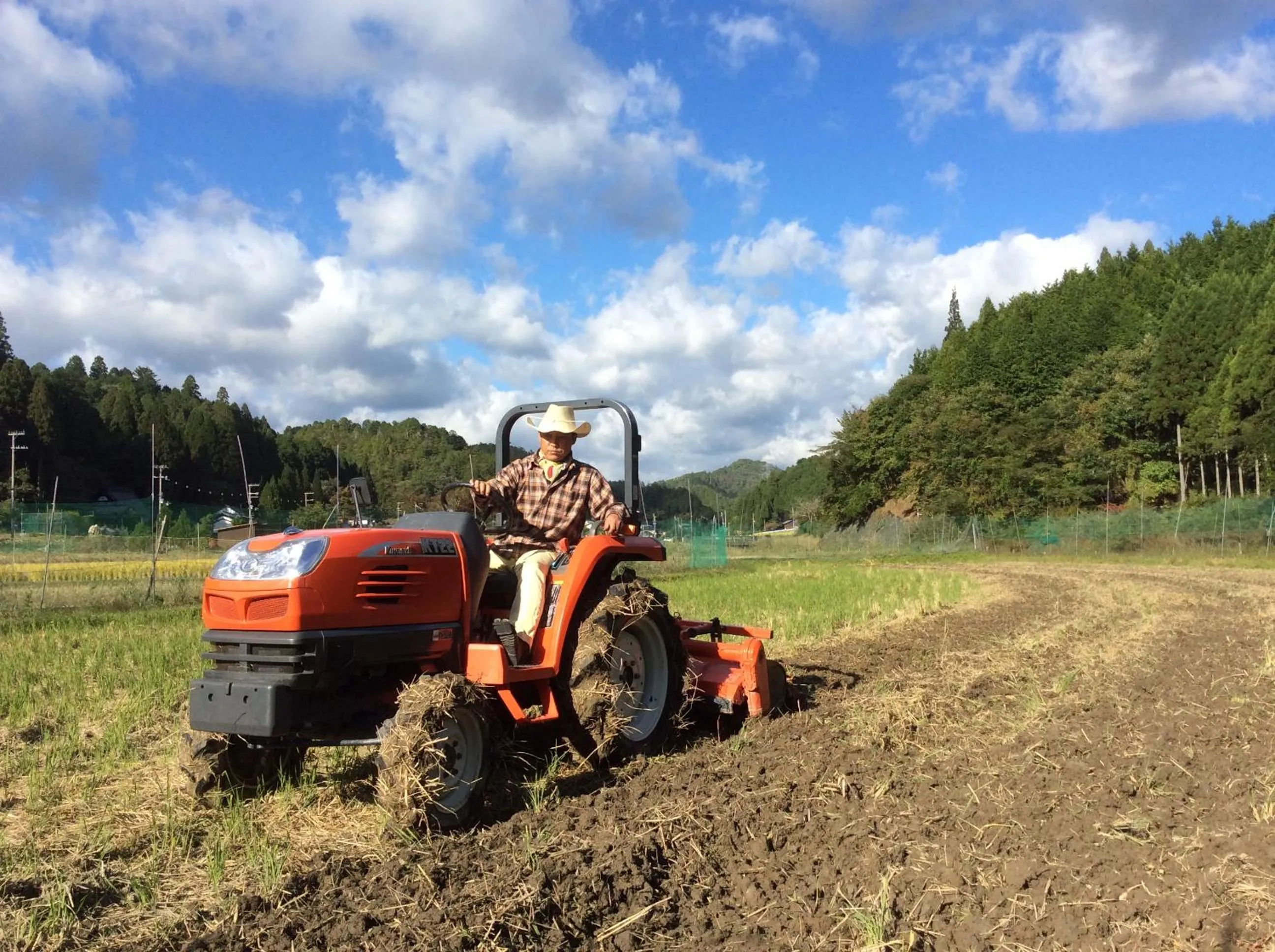 Autumn in Goemon Kyoto Japan