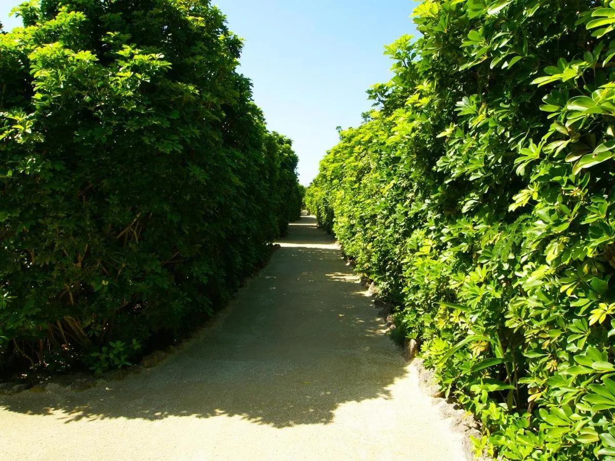 Garden in Villabu Resort