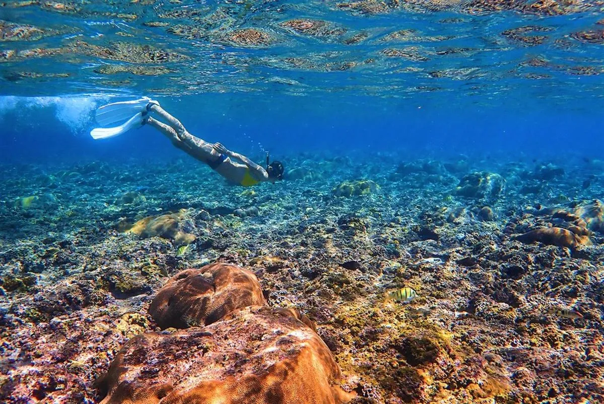 Snorkeling in Villabu Resort