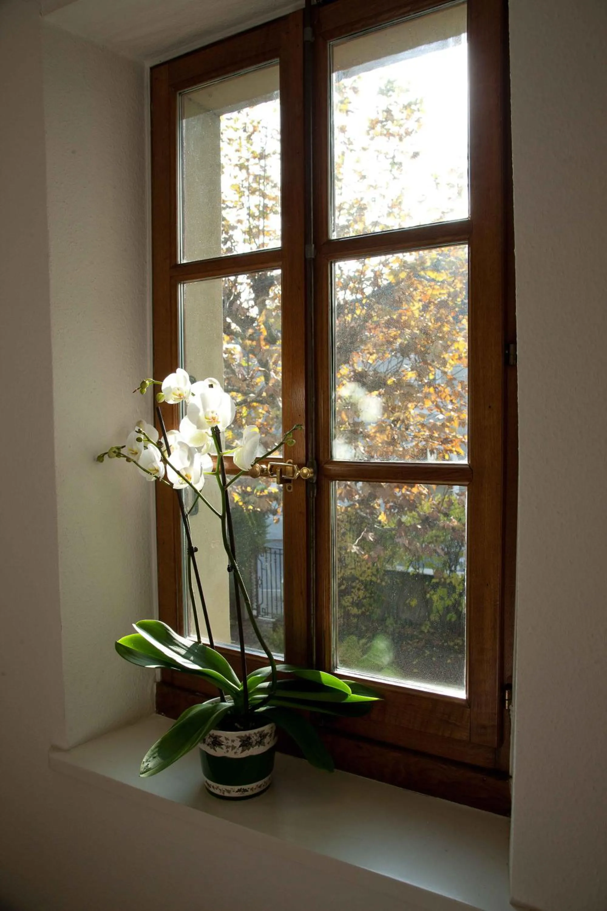 Decorative detail in Charming Geneva