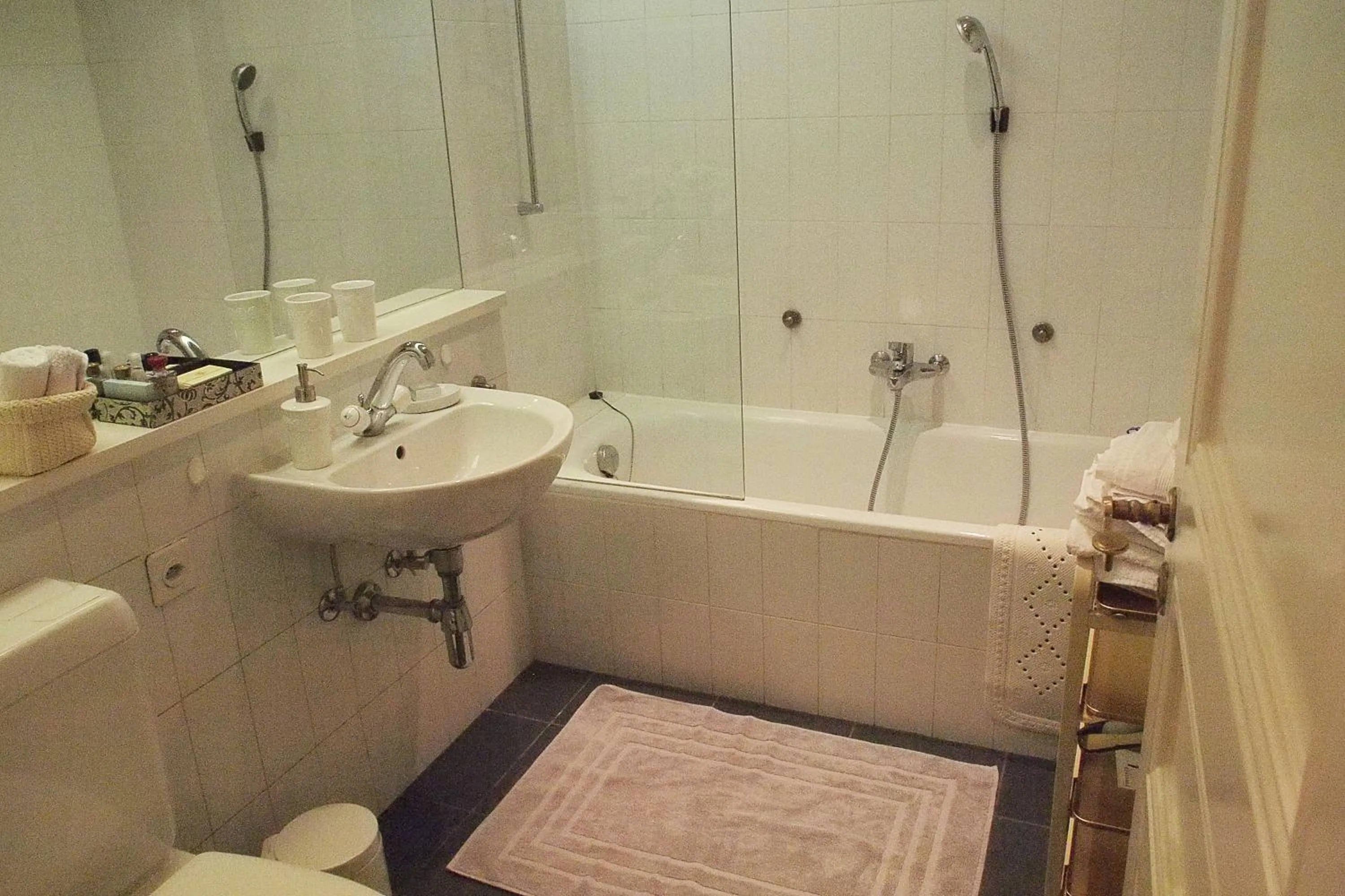 Bathroom in Charming Geneva