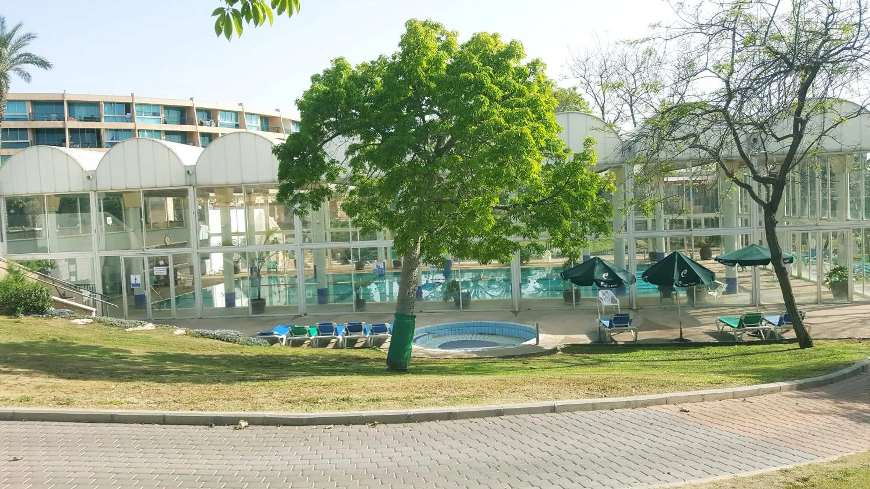 Swimming pool in Neot Golf, Ziv's Place