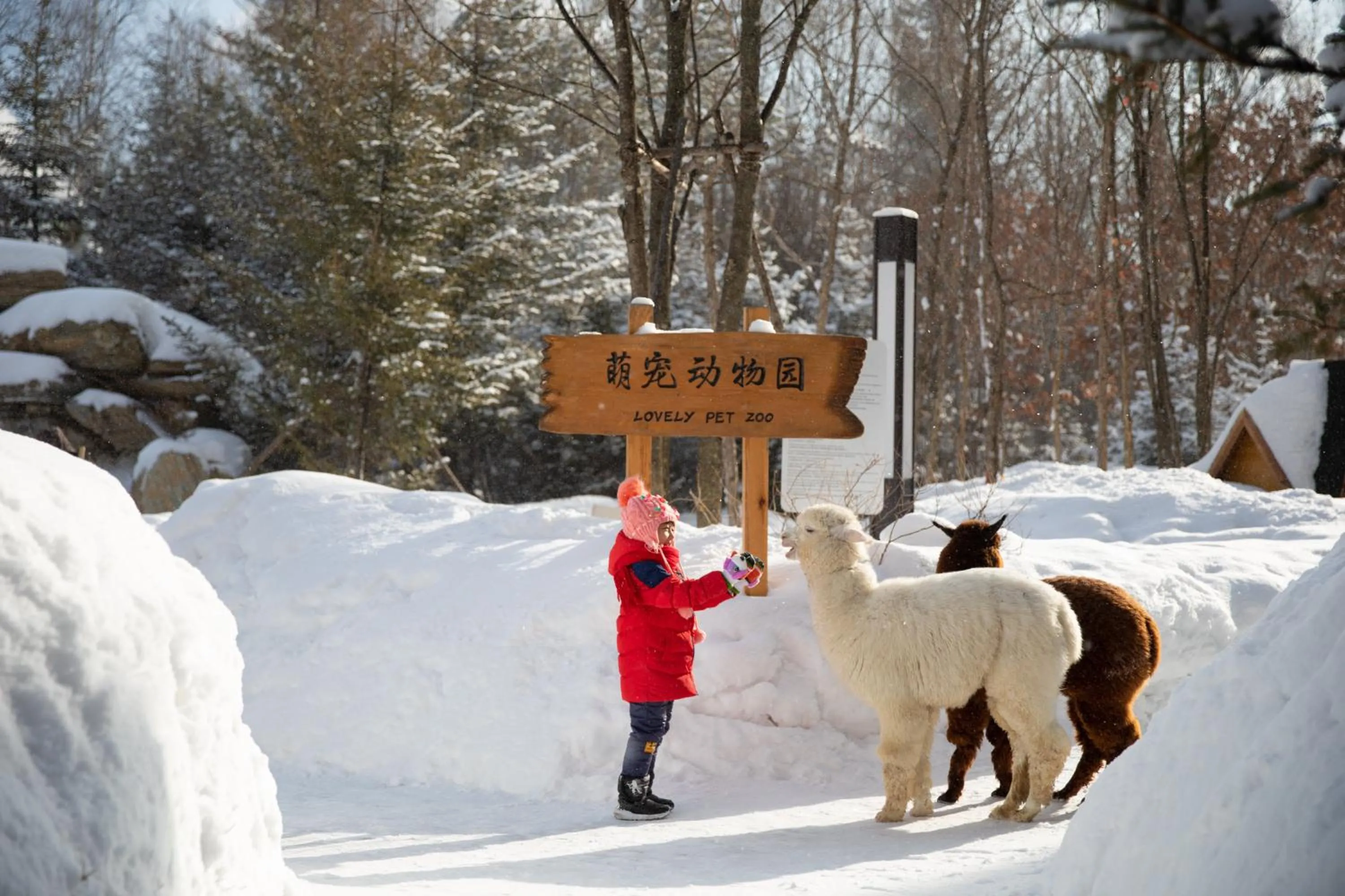 Area and facilities in Crowne Plaza Resort Changbaishan Hot Spring by IHG
