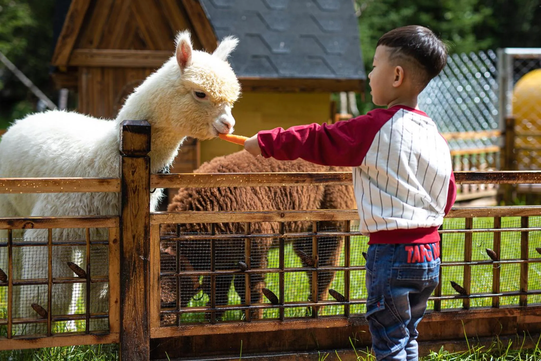 Area and facilities in Crowne Plaza Resort Changbaishan Hot Spring by IHG