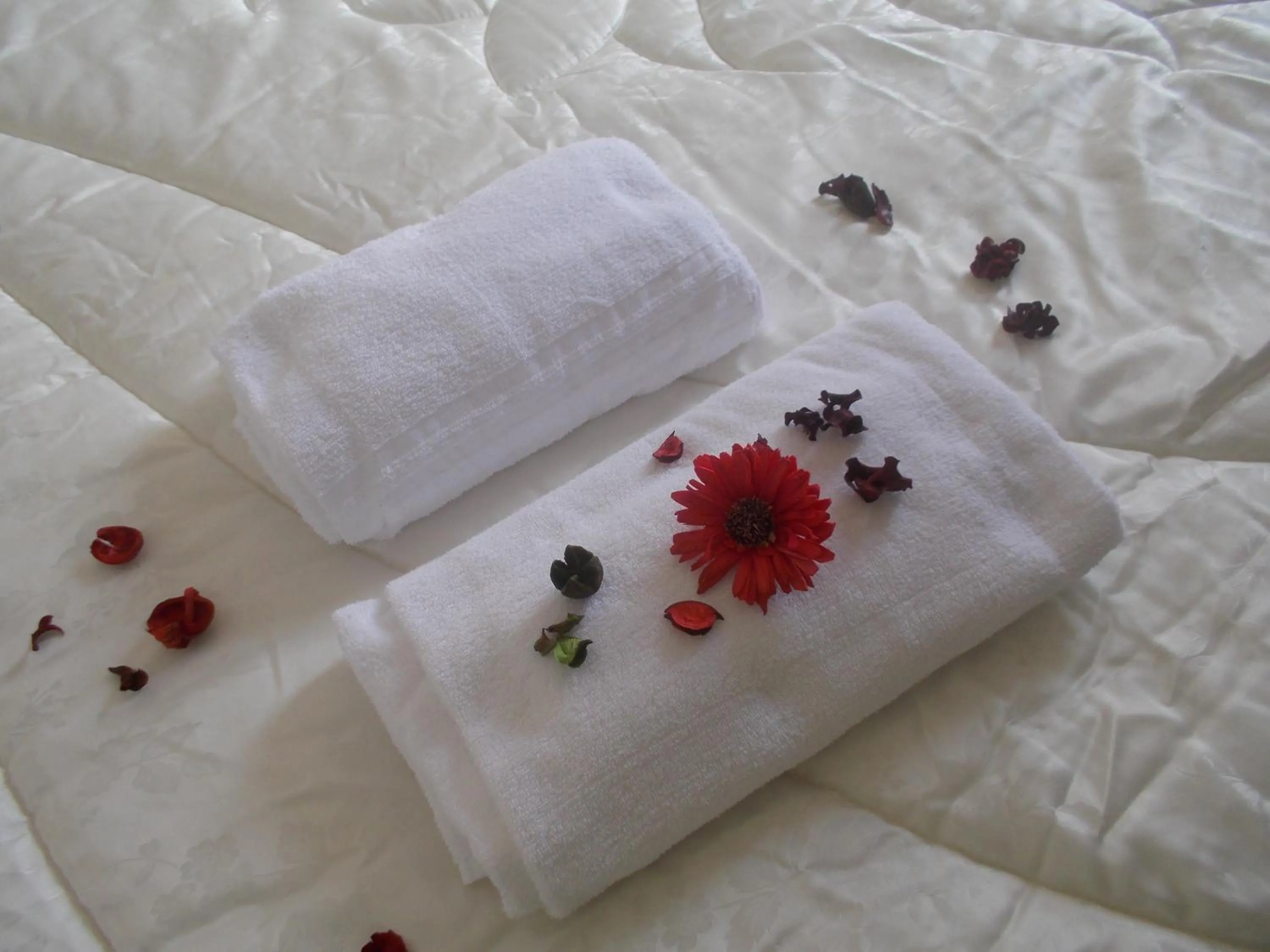 Bedroom in Hotel Mastropeppe