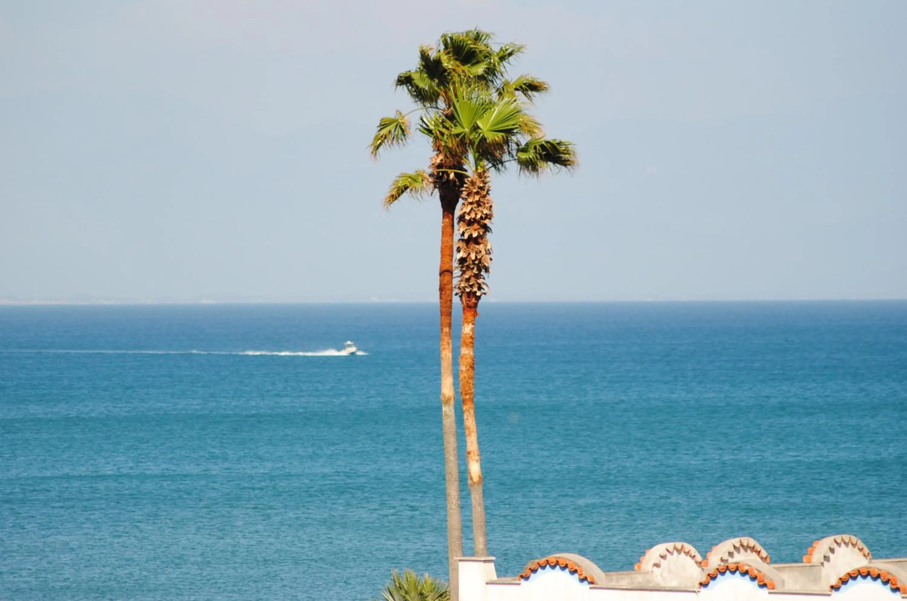 On site in Hotel Mastropeppe