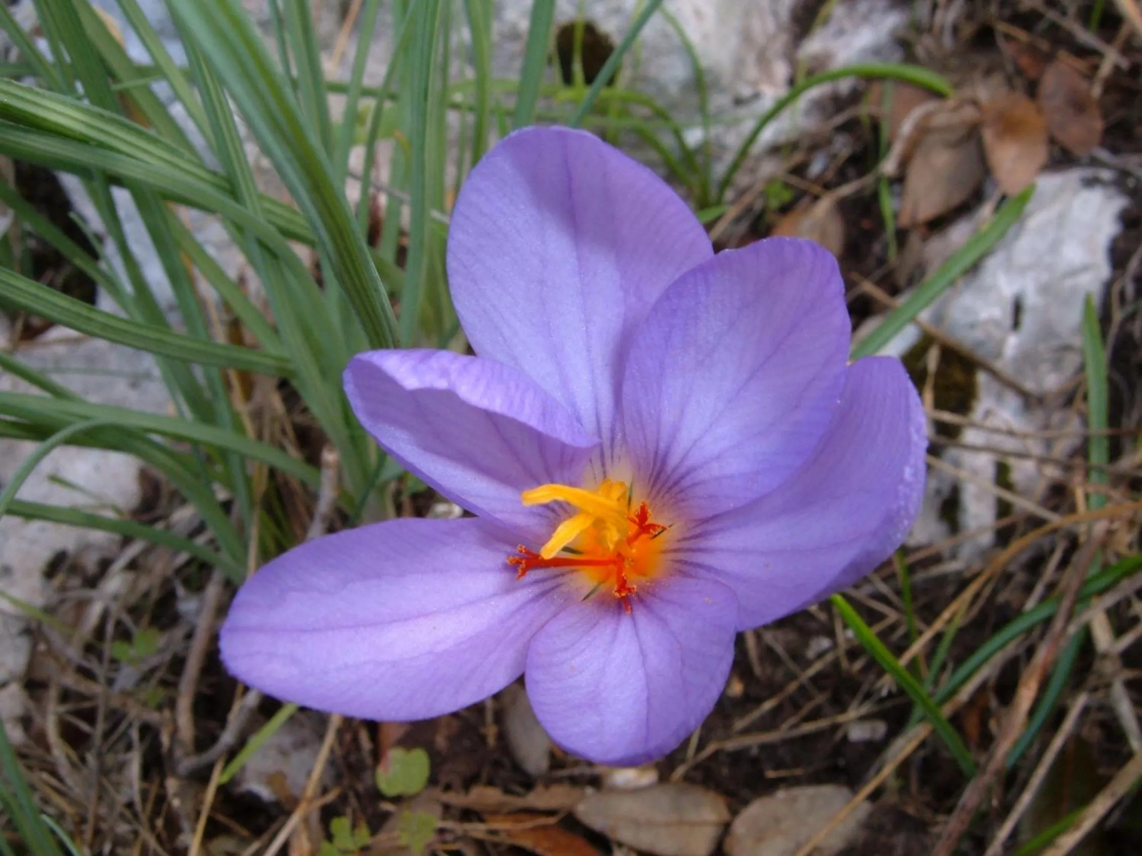 Other in Hotel Mastropeppe