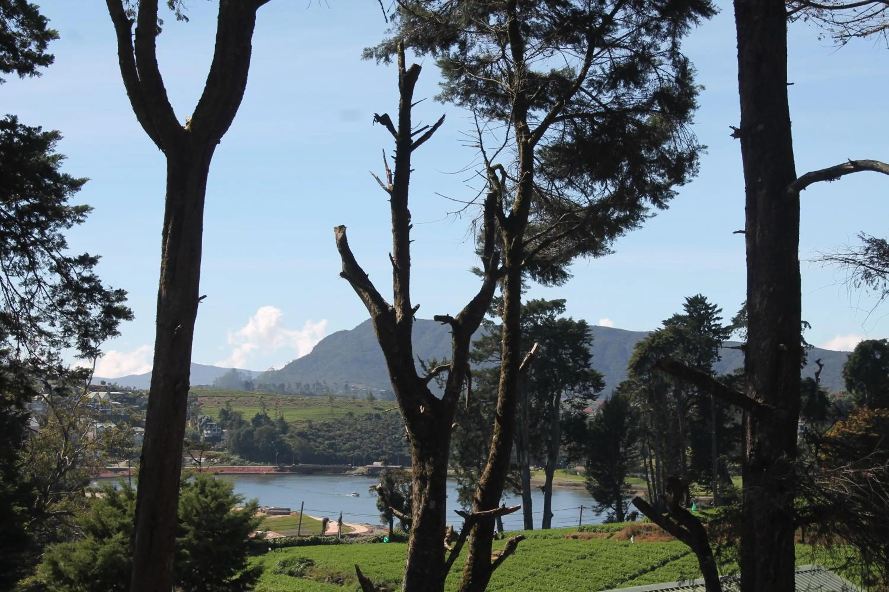 Natural landscape in Mirage Kings Cottage