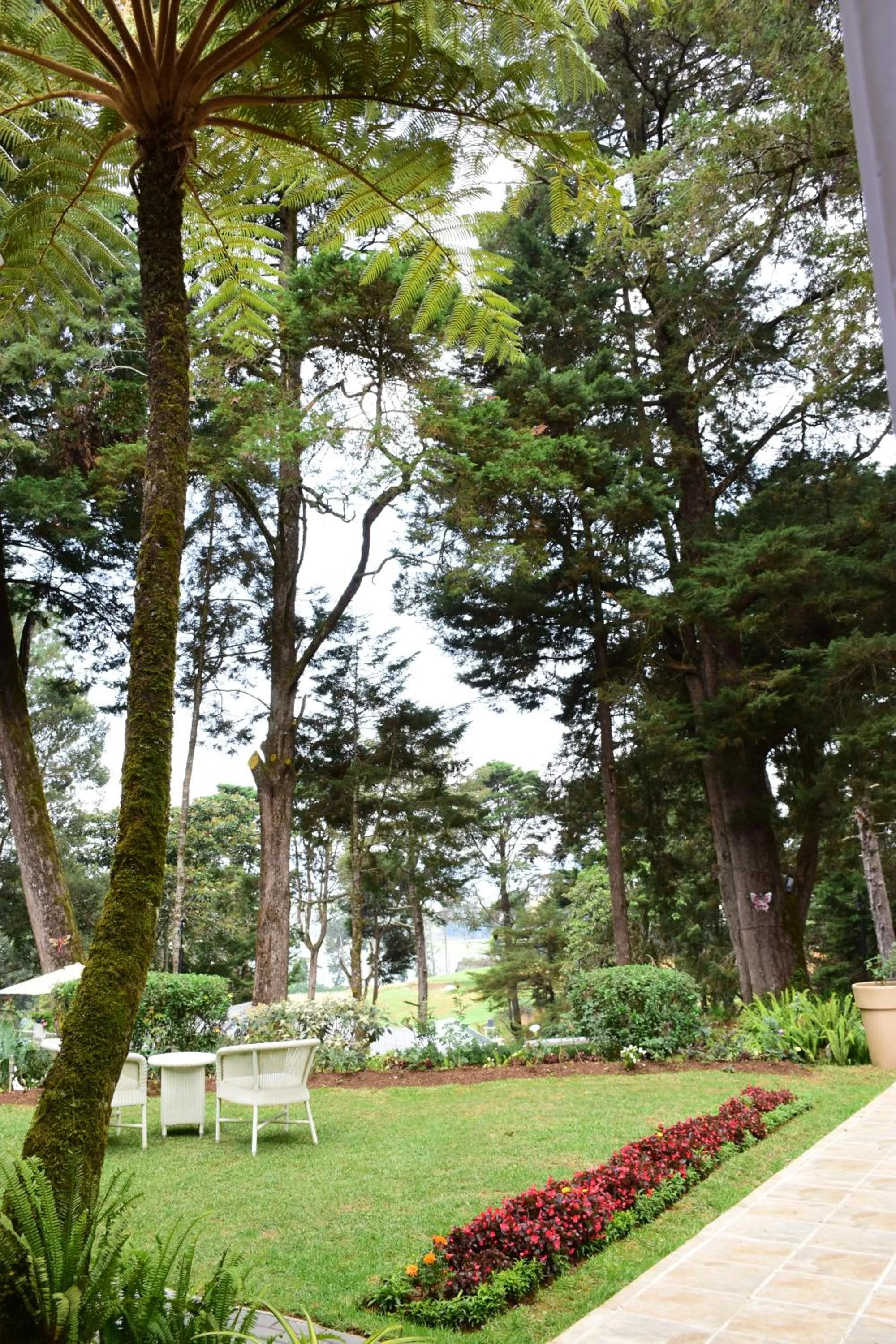 Garden in Mirage Kings Cottage