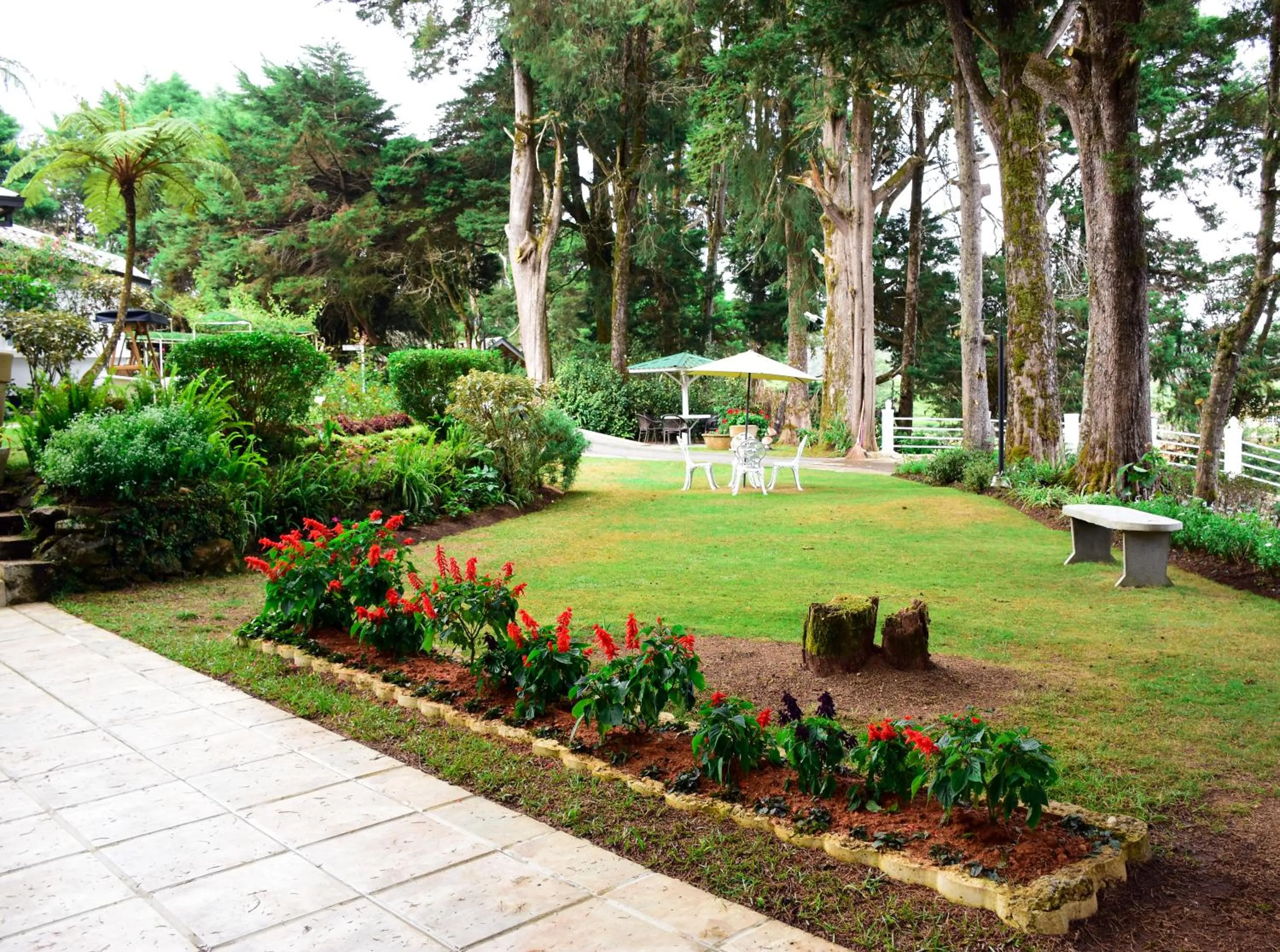 Garden in Mirage Kings Cottage