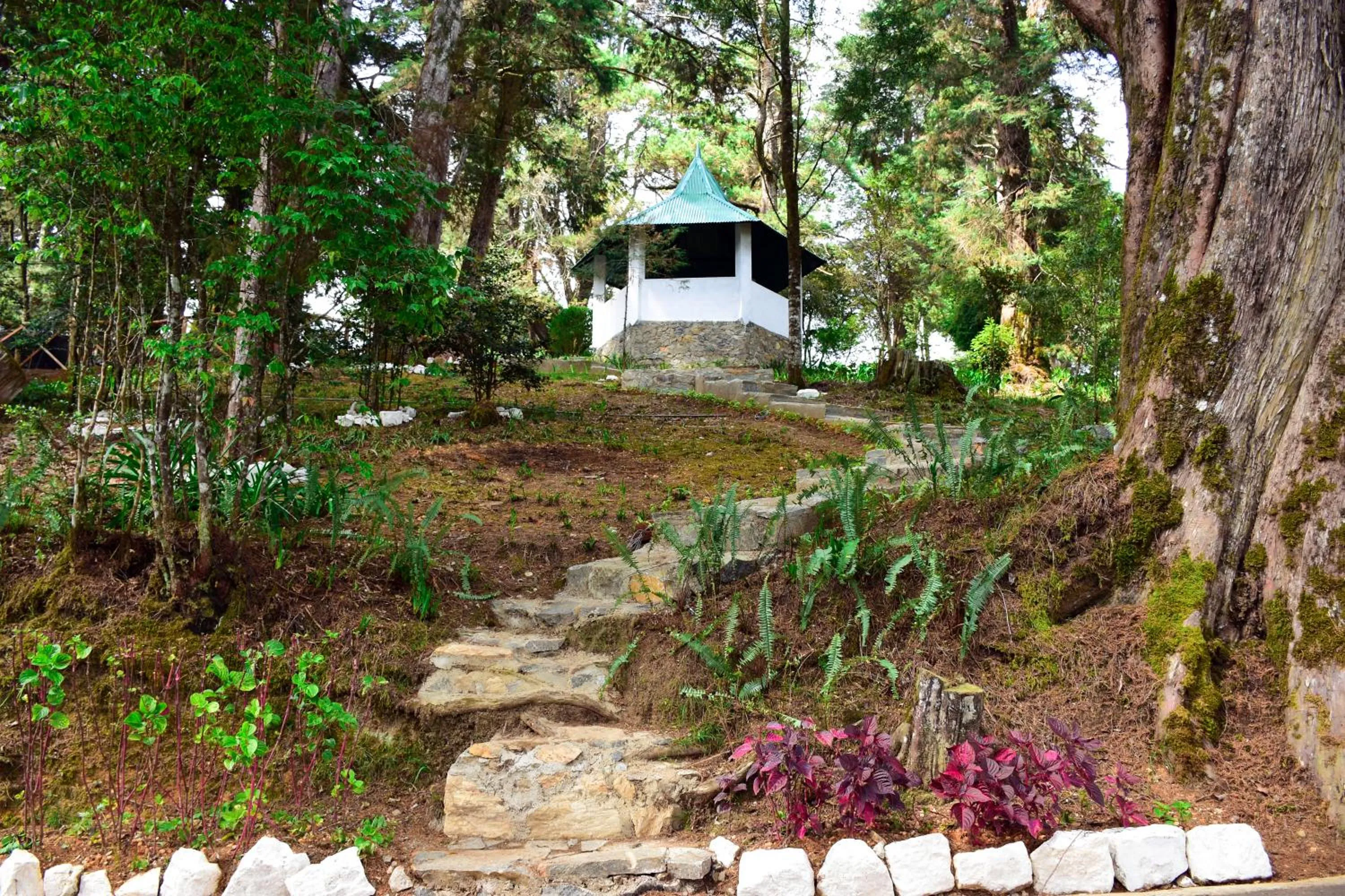 Garden in Mirage Kings Cottage