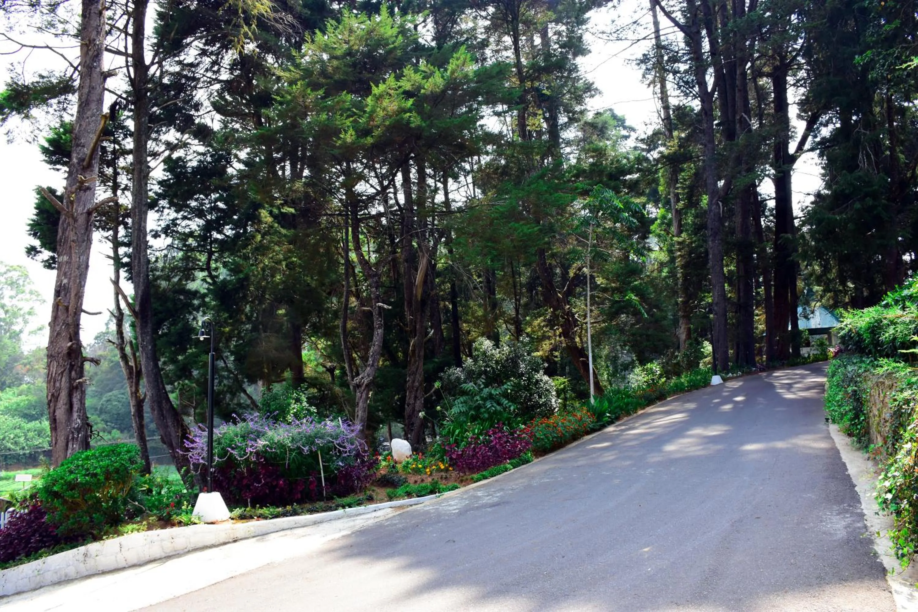 Garden in Mirage Kings Cottage