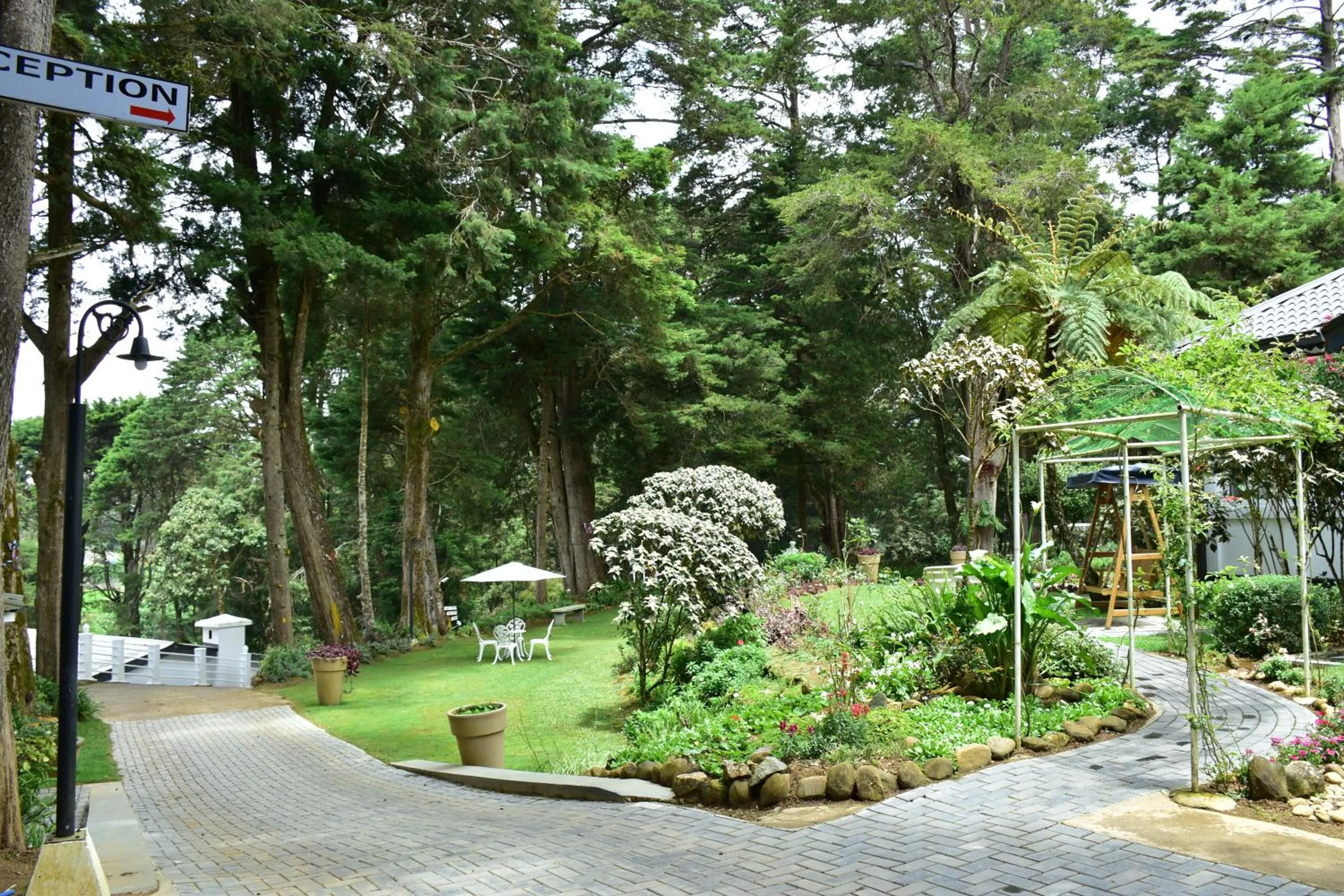 Garden in Mirage Kings Cottage