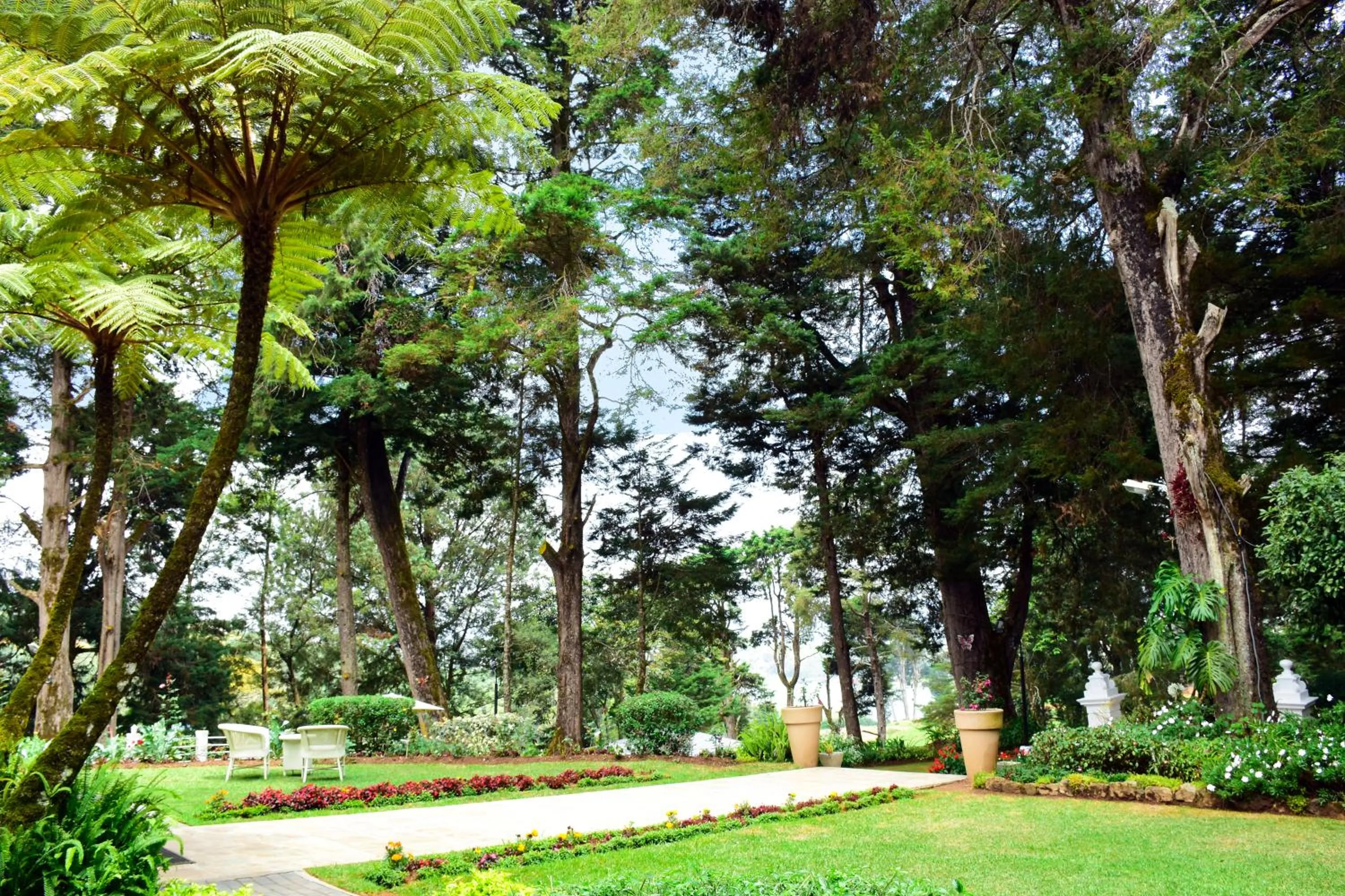 Garden in Mirage Kings Cottage