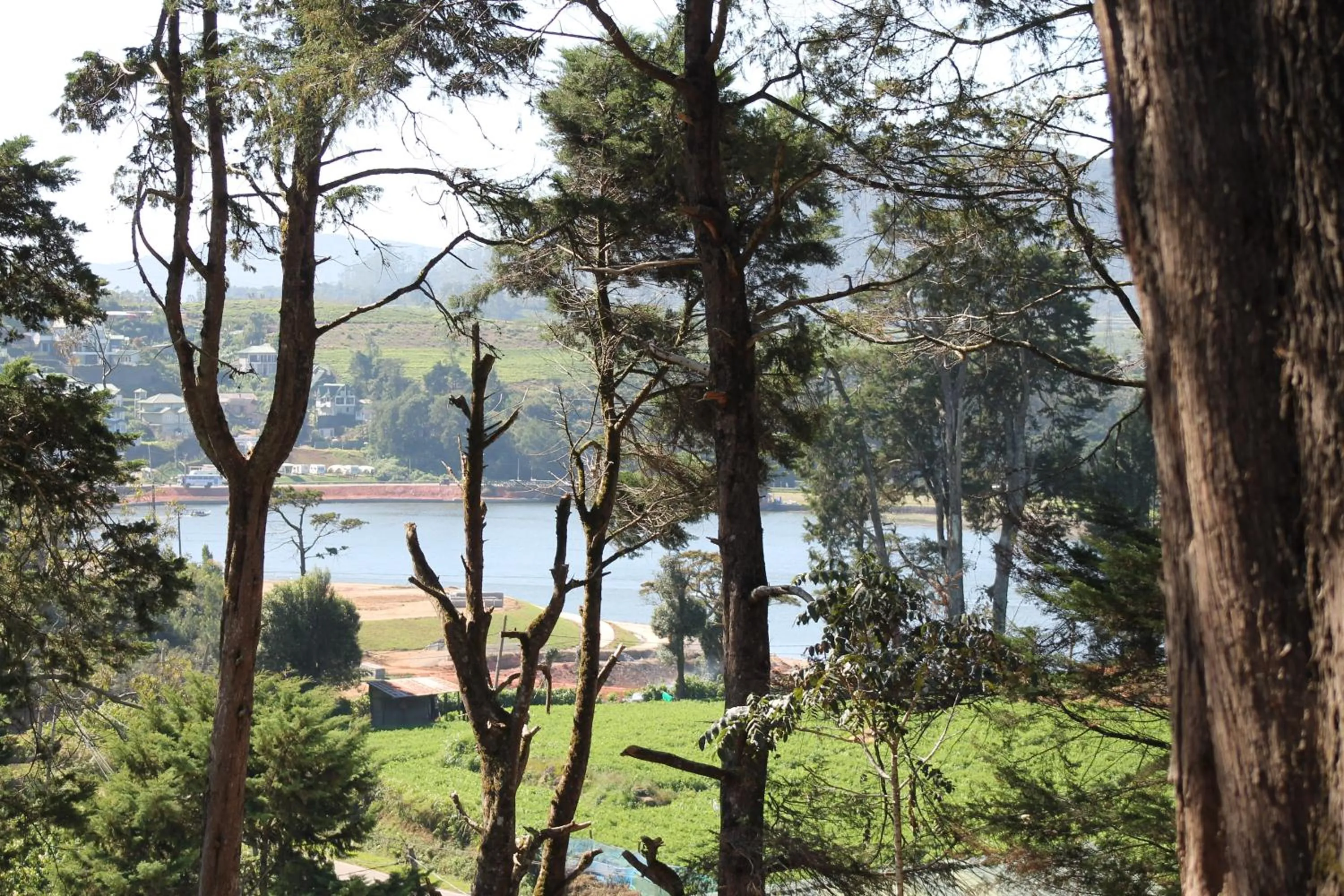 Other in Mirage Kings Cottage