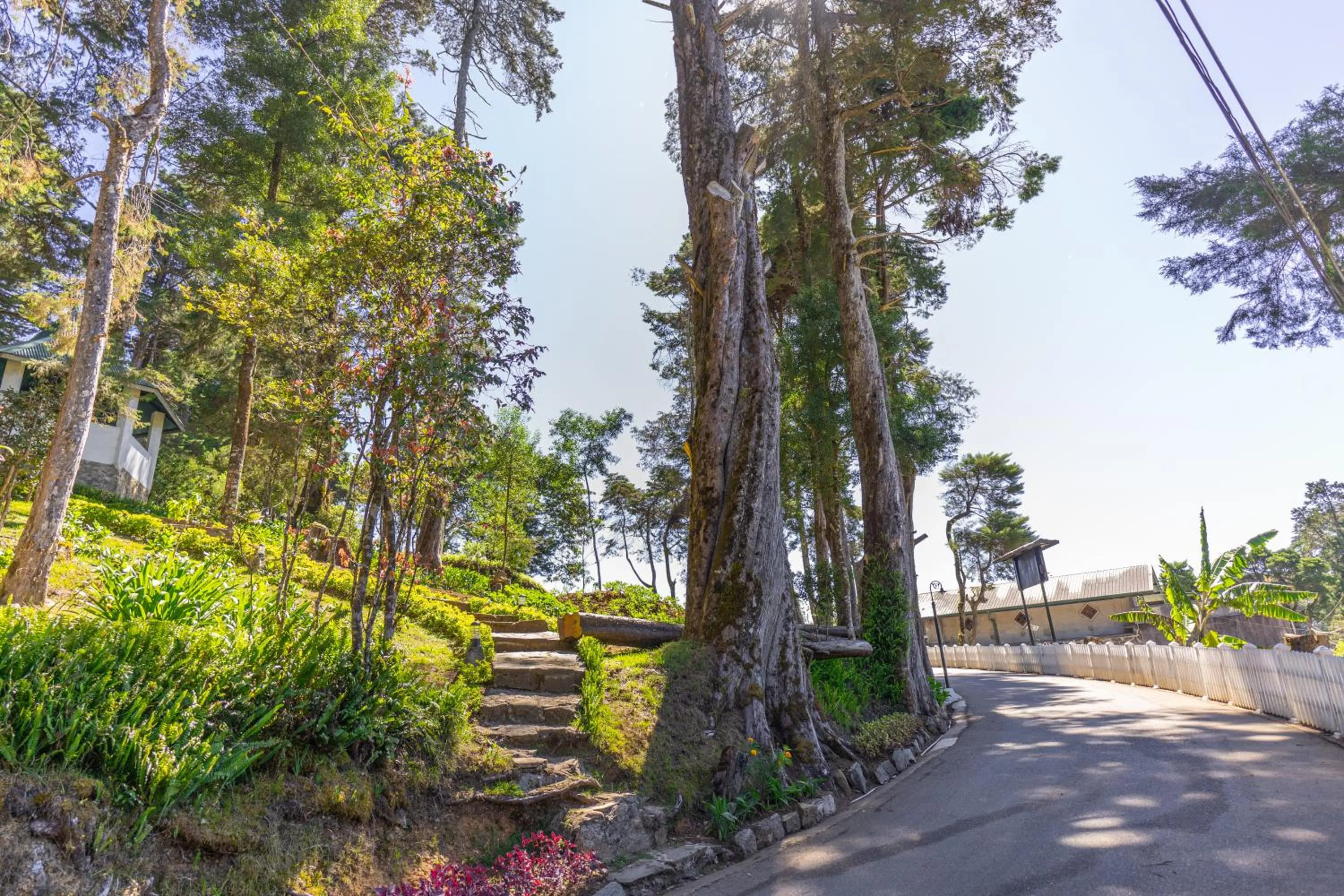 Natural landscape in Mirage Kings Cottage