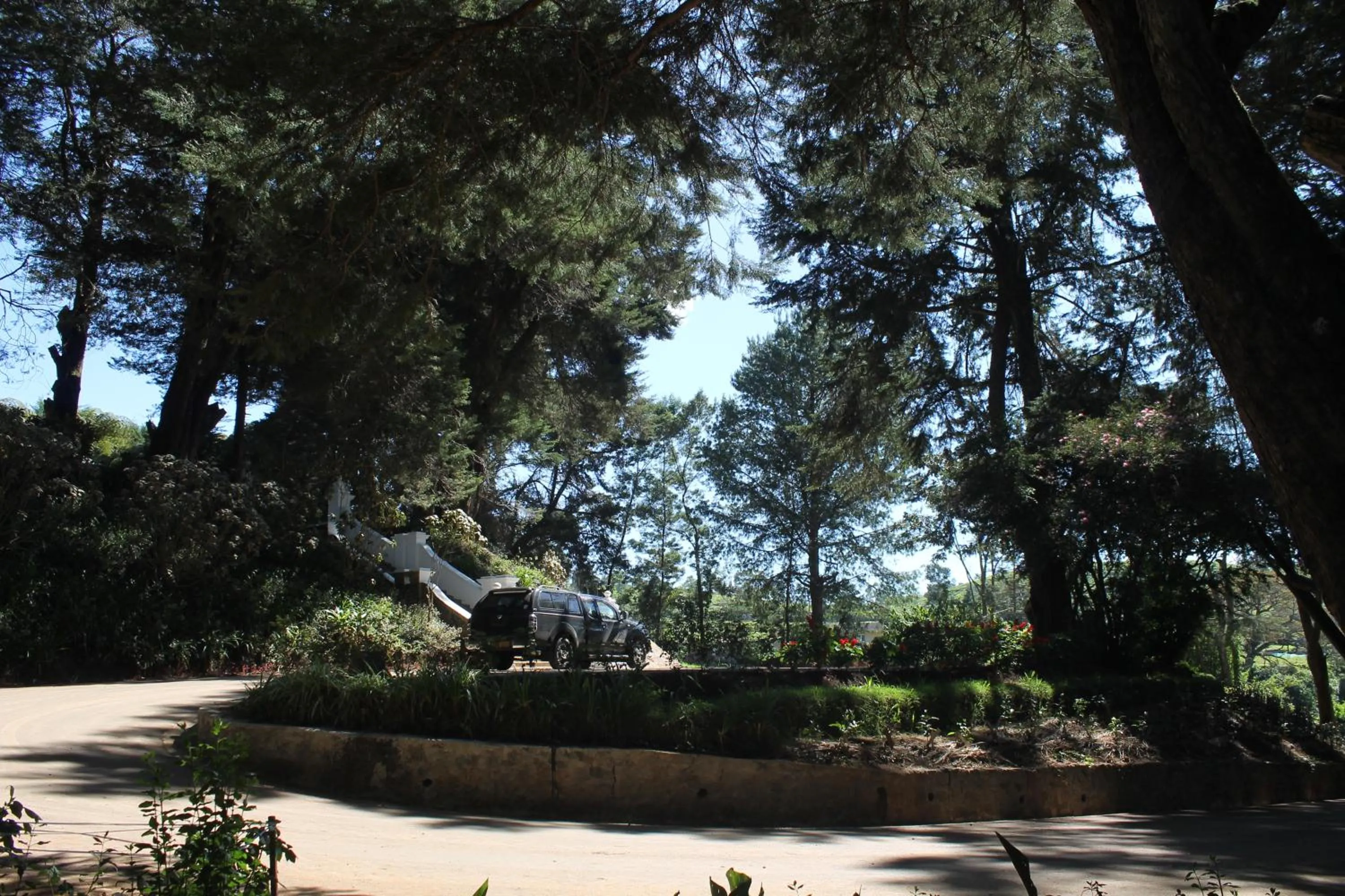 Garden in Mirage Kings Cottage