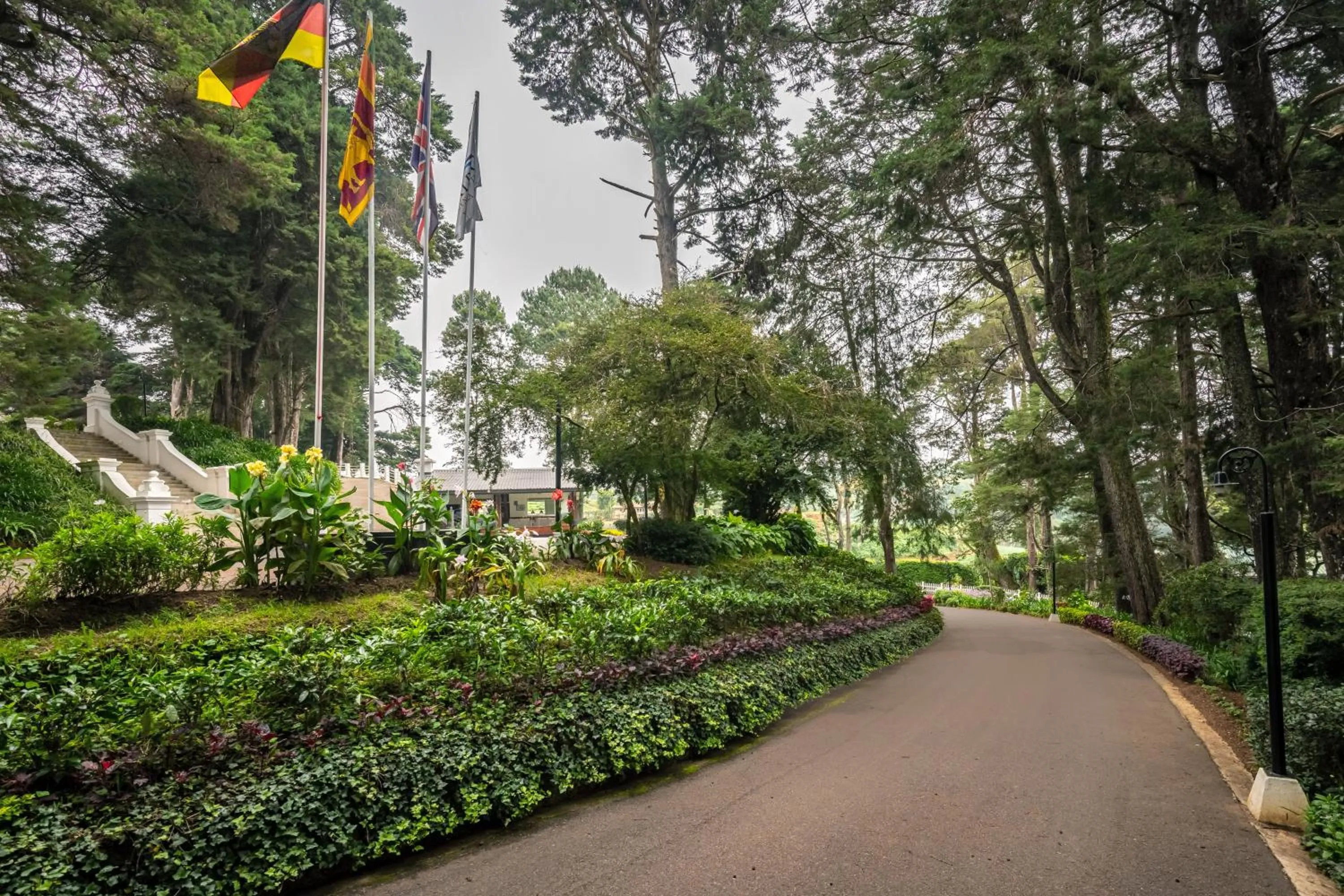 Garden in Mirage Kings Cottage