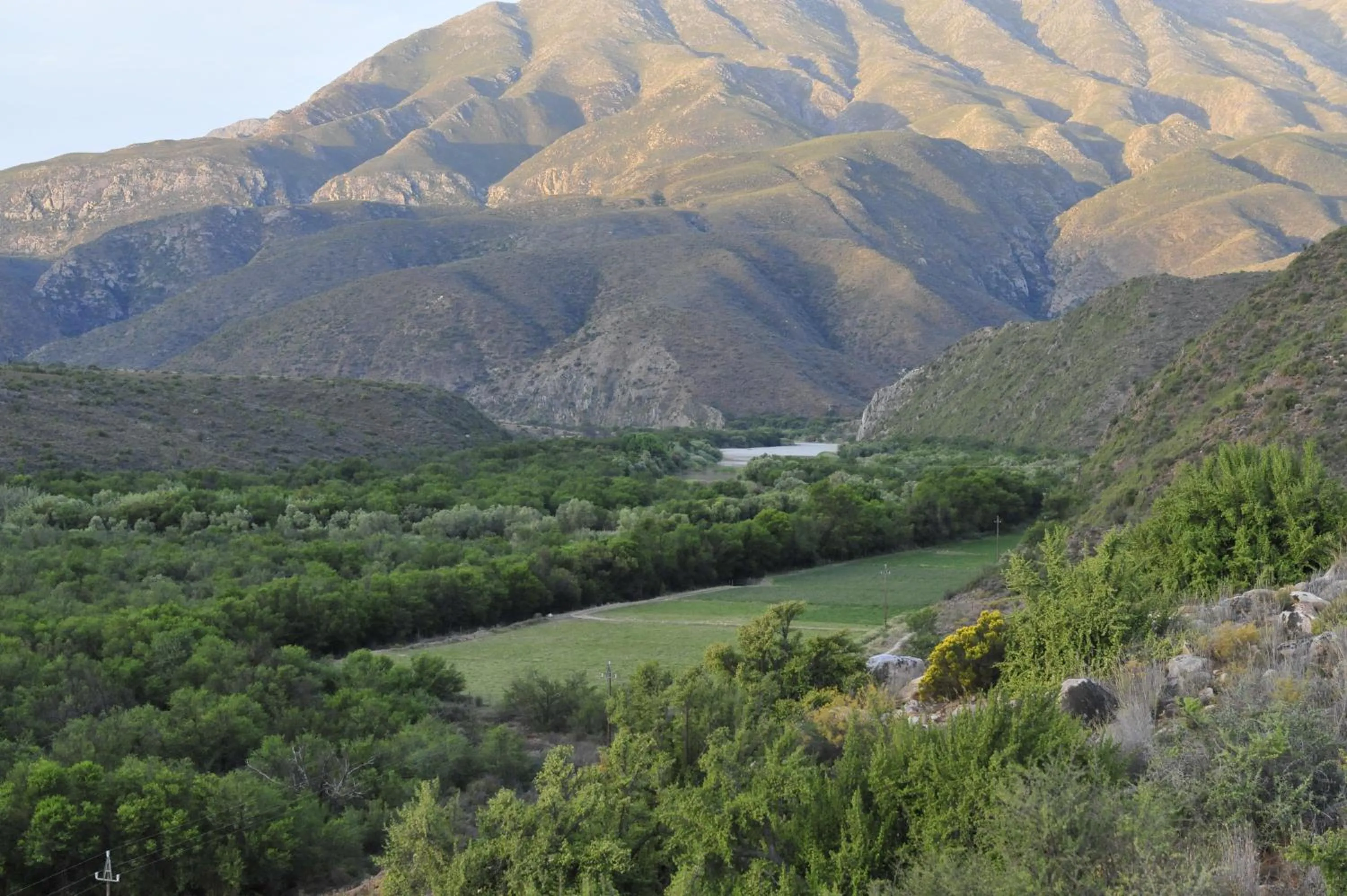 Matjiesvlei Guestfarm