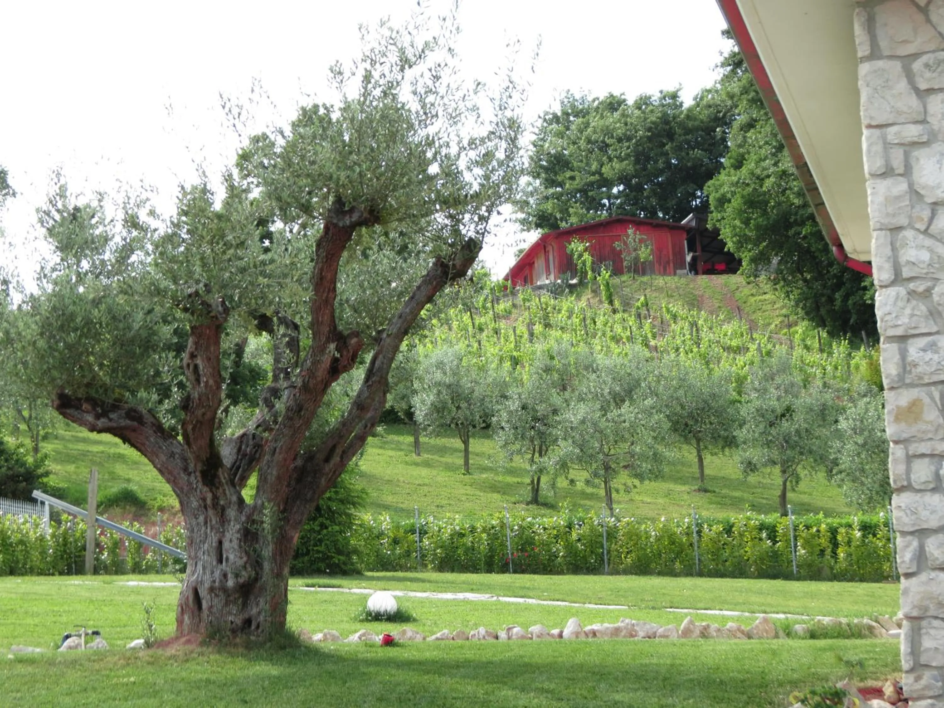 Garden view in La Selva Incantata