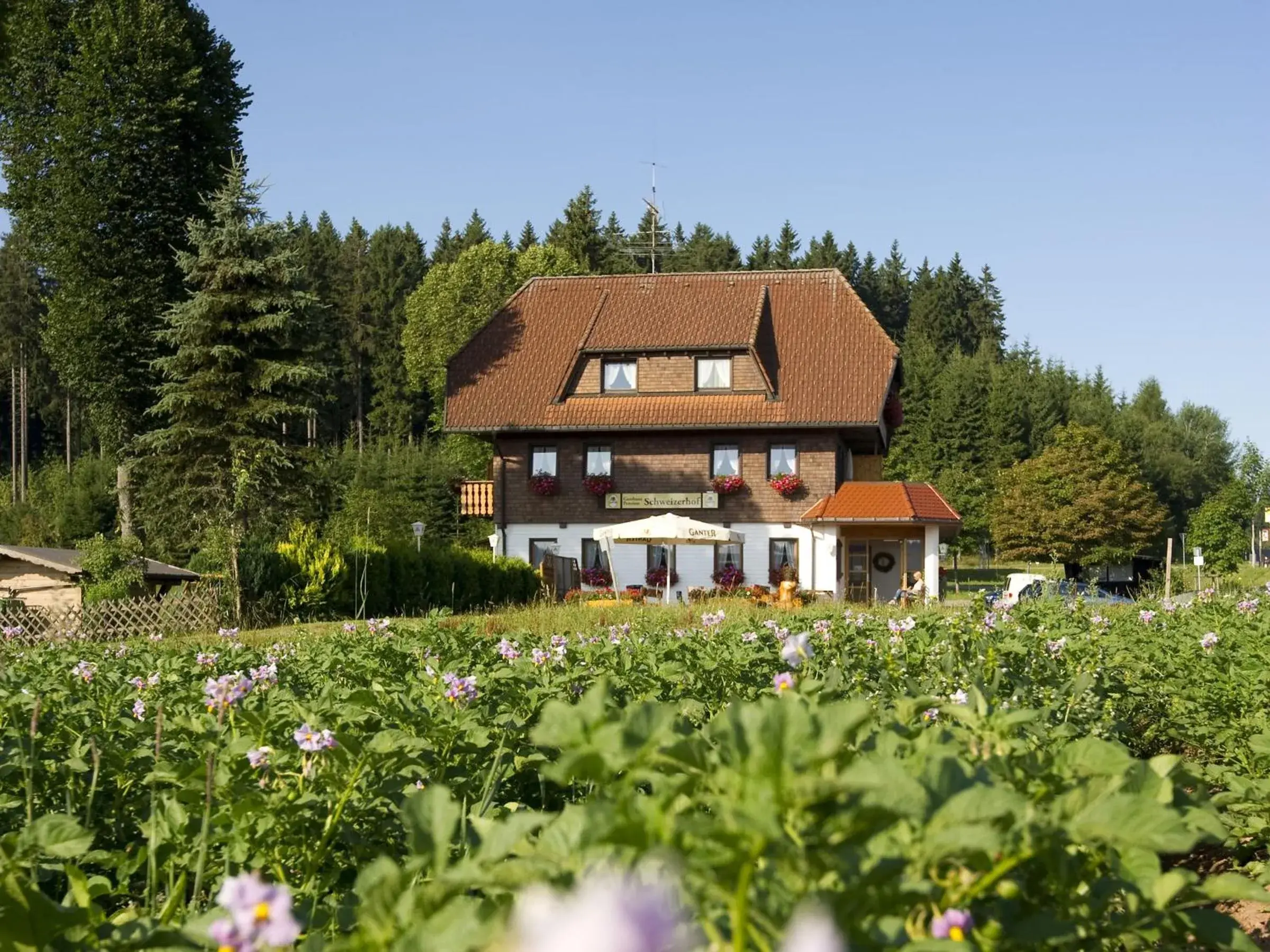 Gasthaus Schweizerhof Gasthaus Schweizerhof