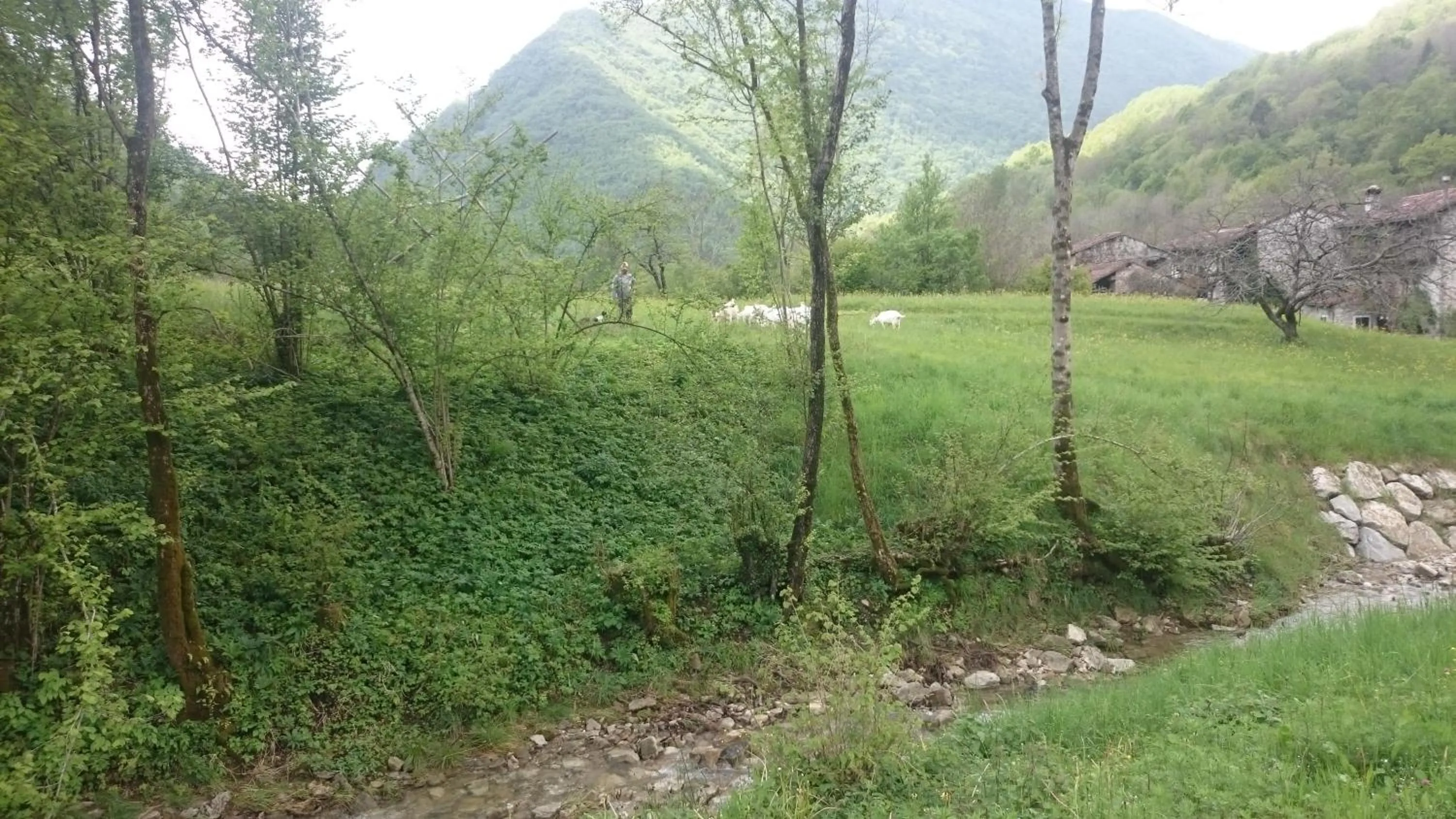 On site in B&B IN FATTORIA