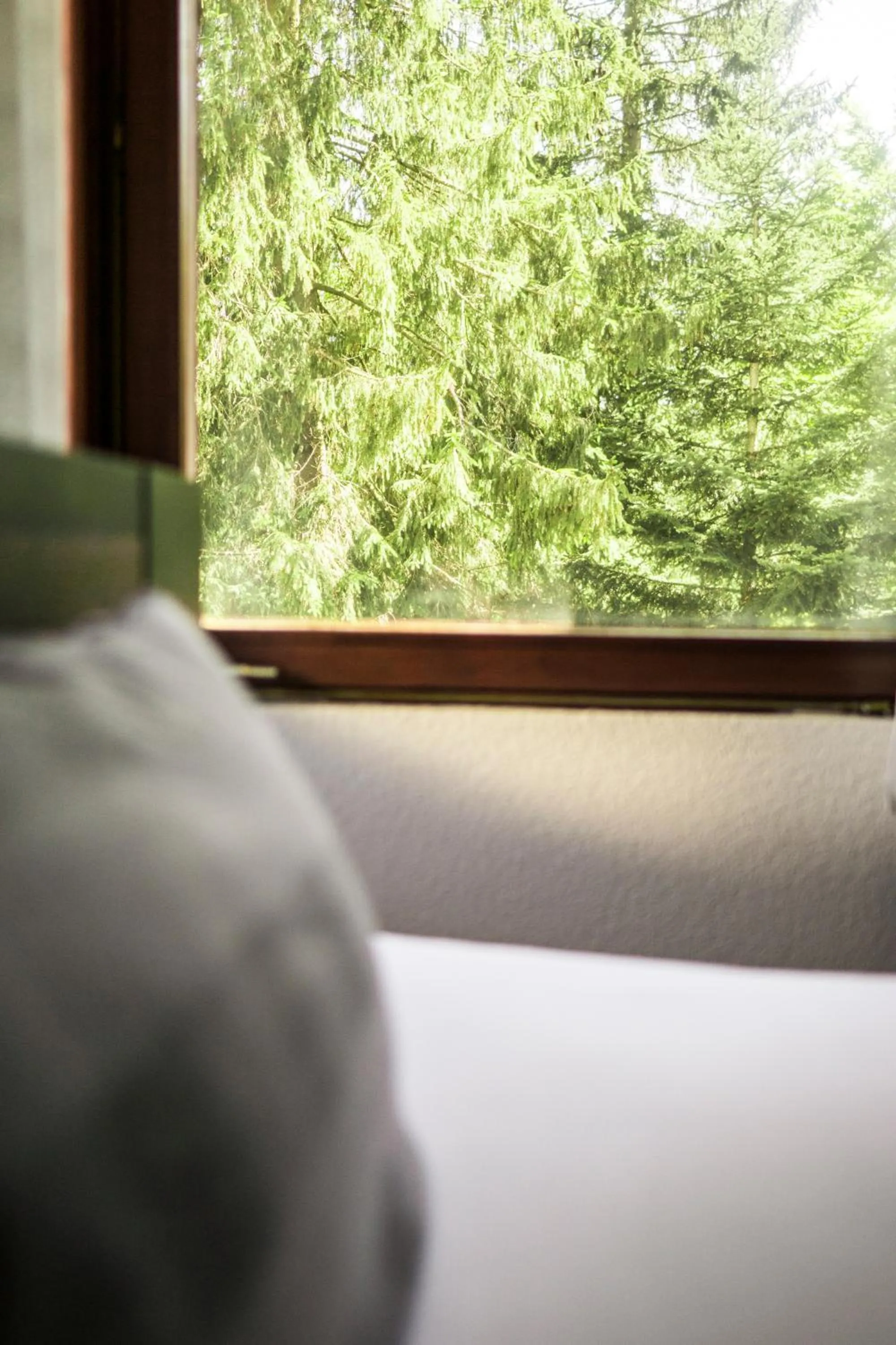 Bed in Zur grossen Tanne