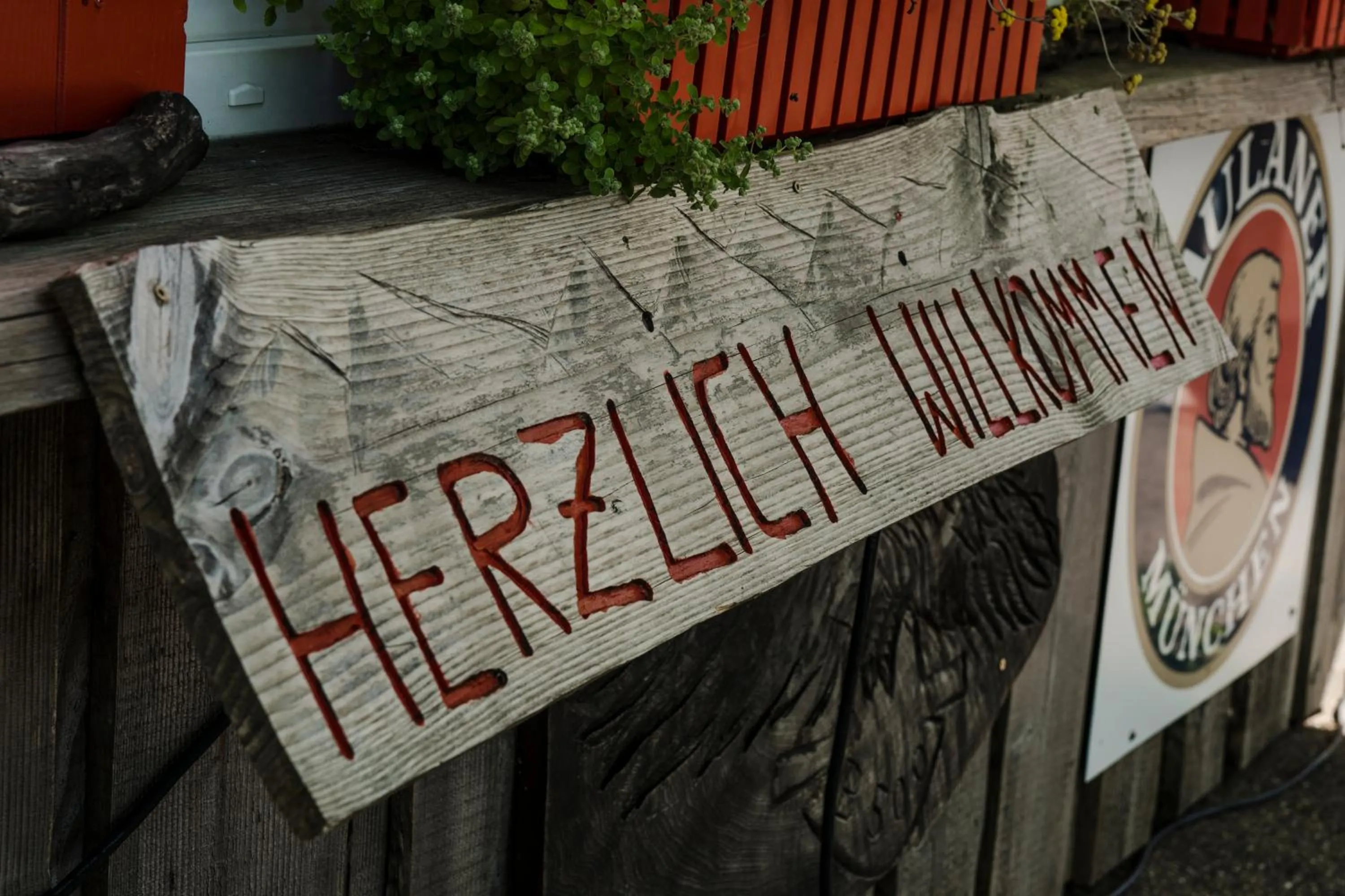 Zur grossen Tanne