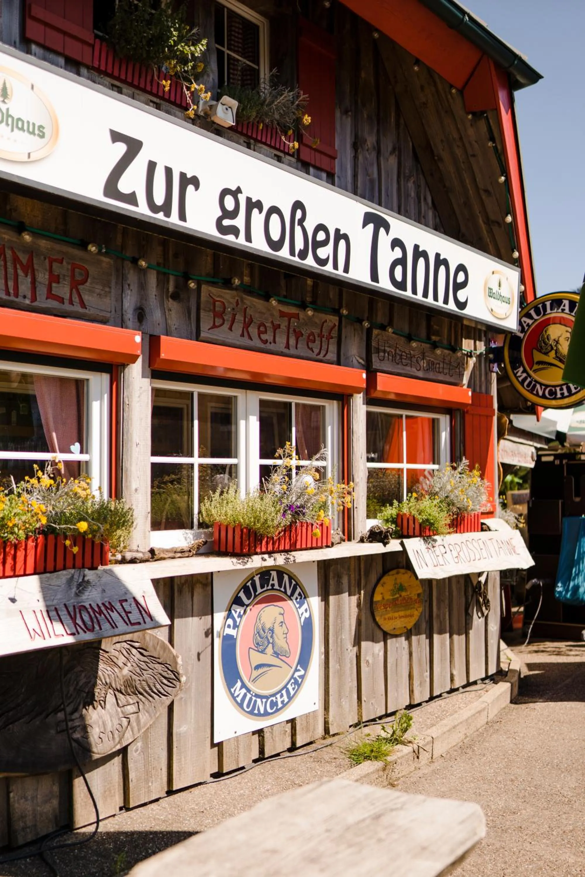 Zur grossen Tanne