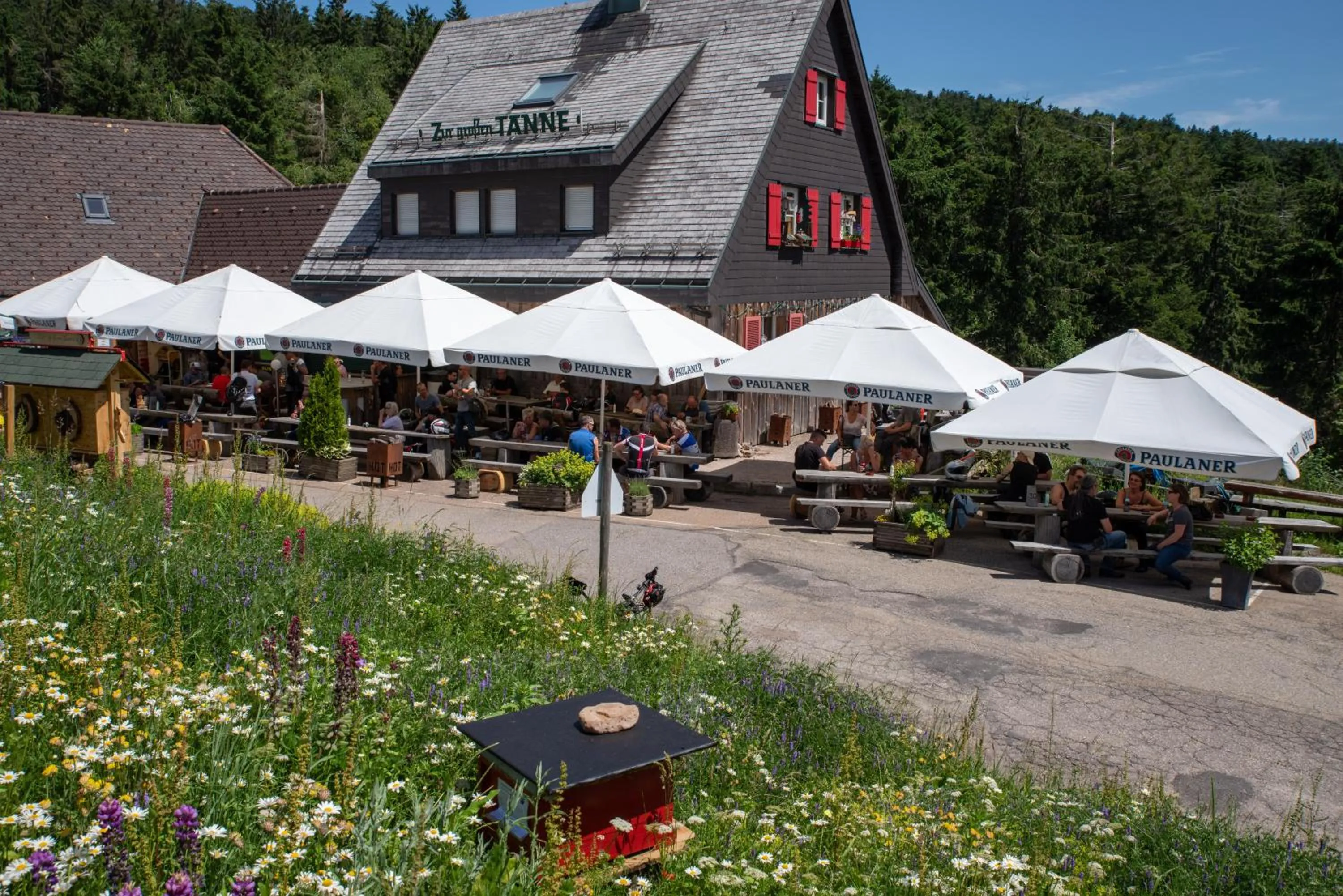 Patio in Zur grossen Tanne