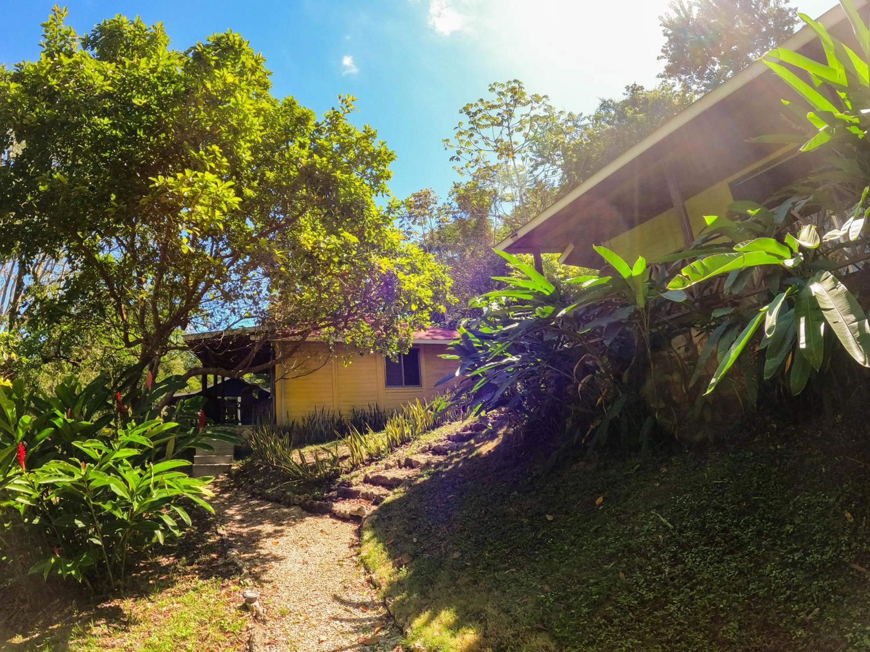 Garden view in Winíka Alterra