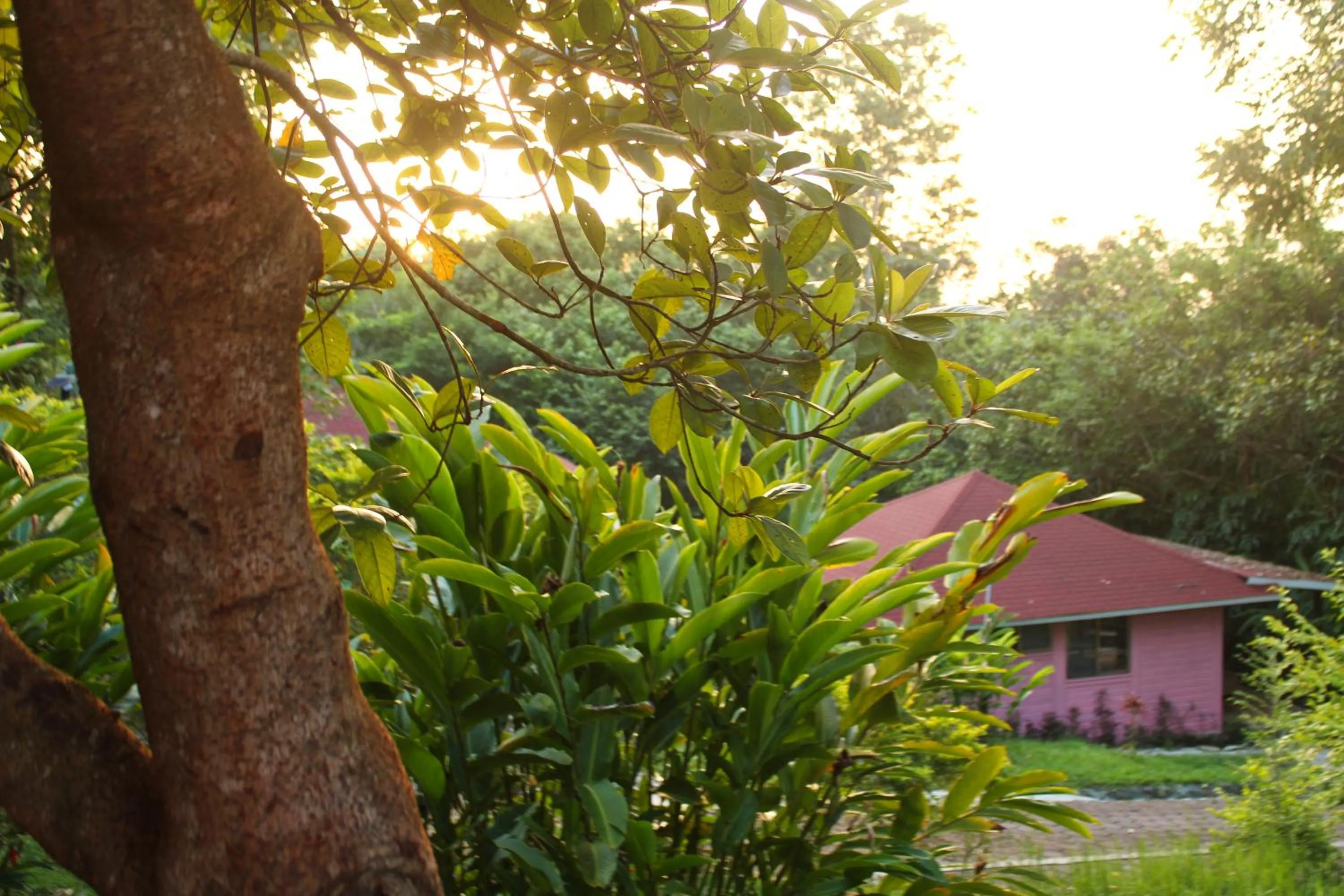 Garden view in Winíka Alterra