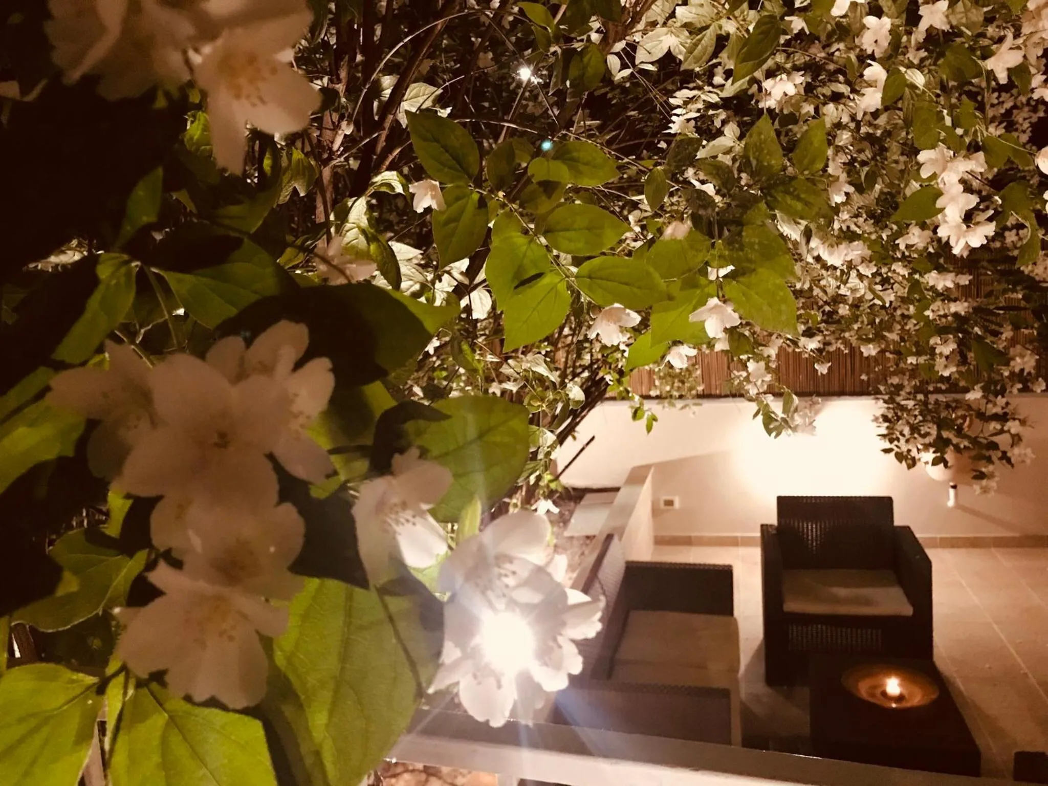 Property building in Aruna Suites