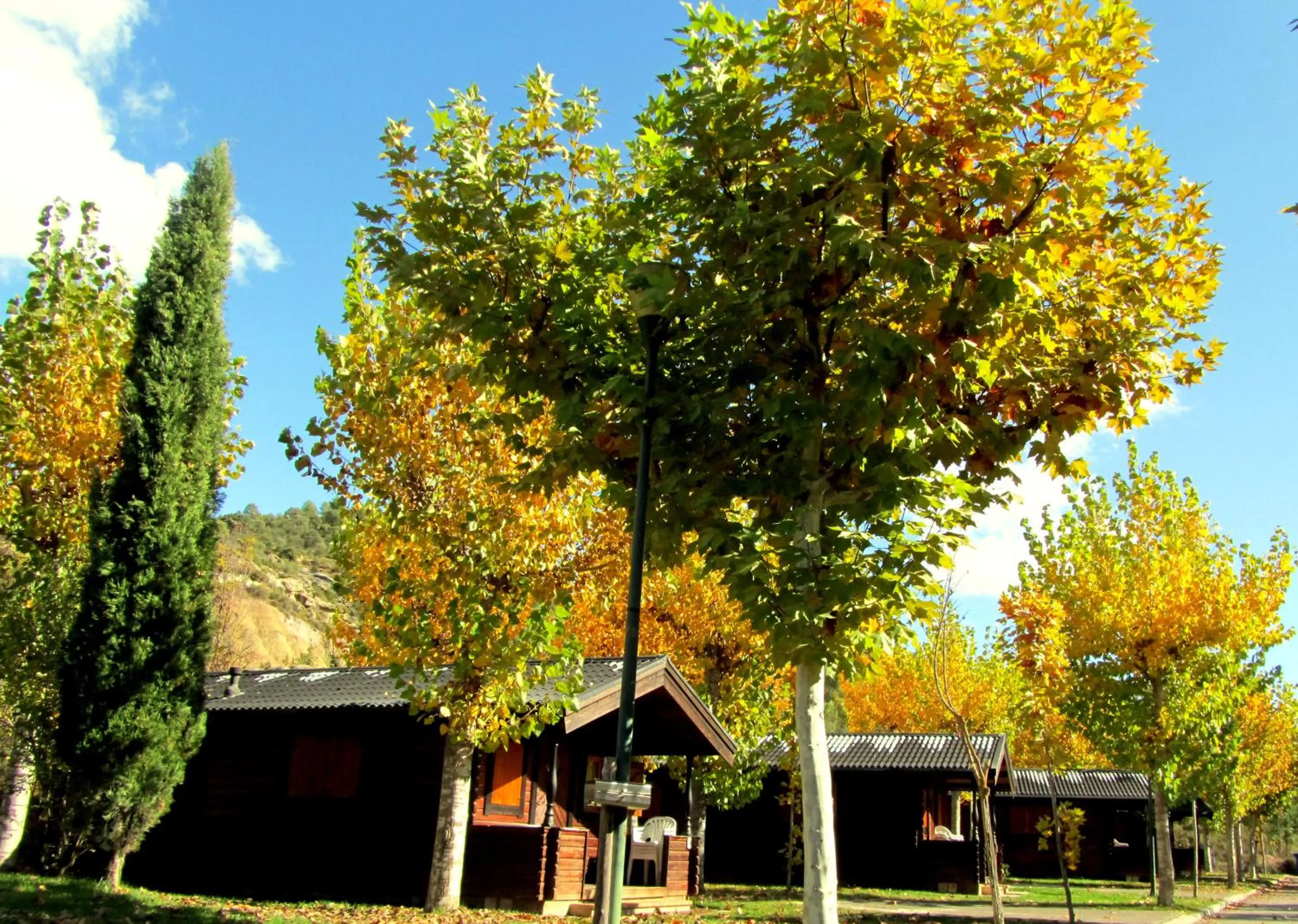 Area and facilities in La Pedanía Hotel Y Bungalows - Ligüerre de Cinca