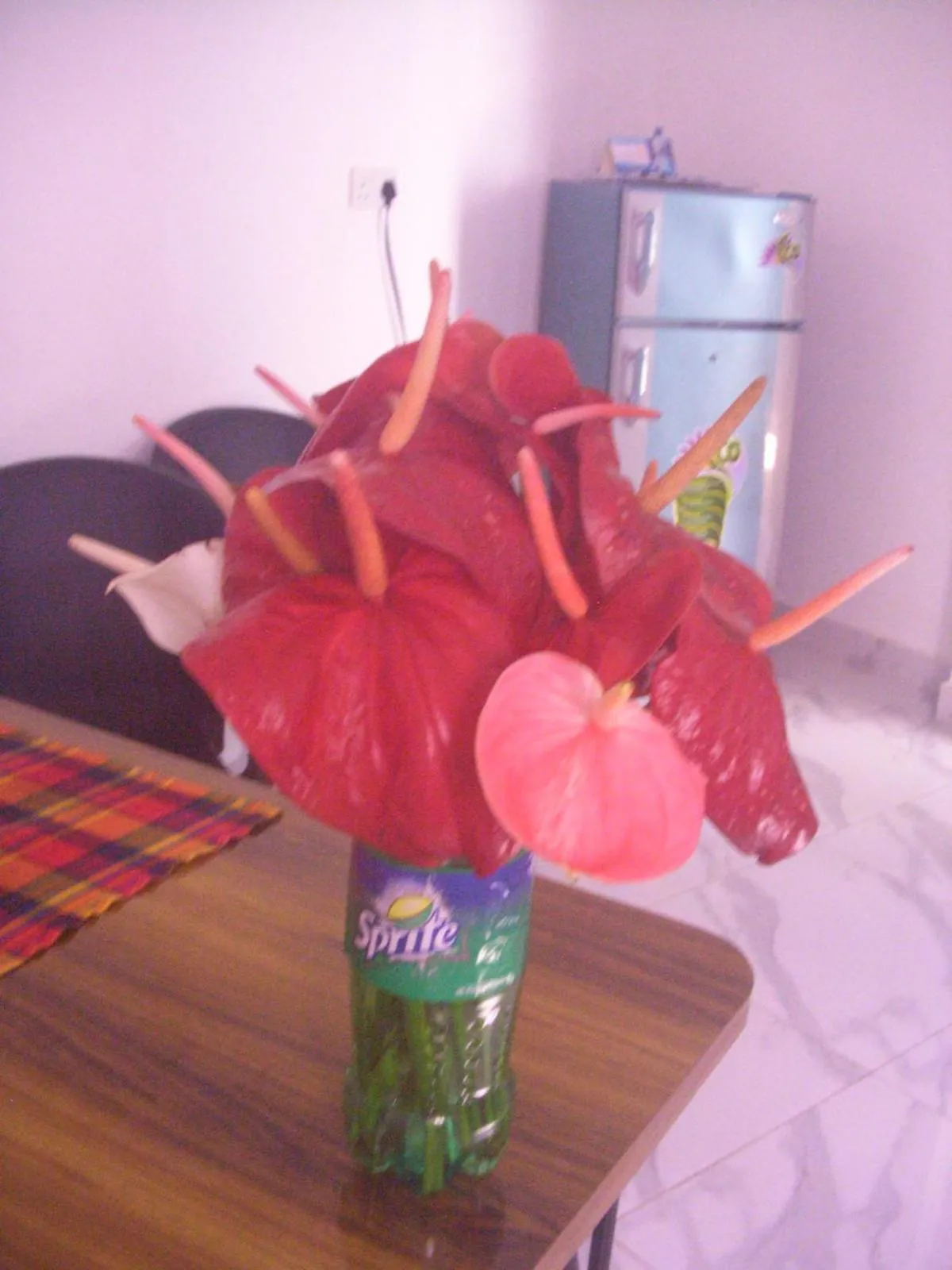 Breakfast in Hotel "Diana"