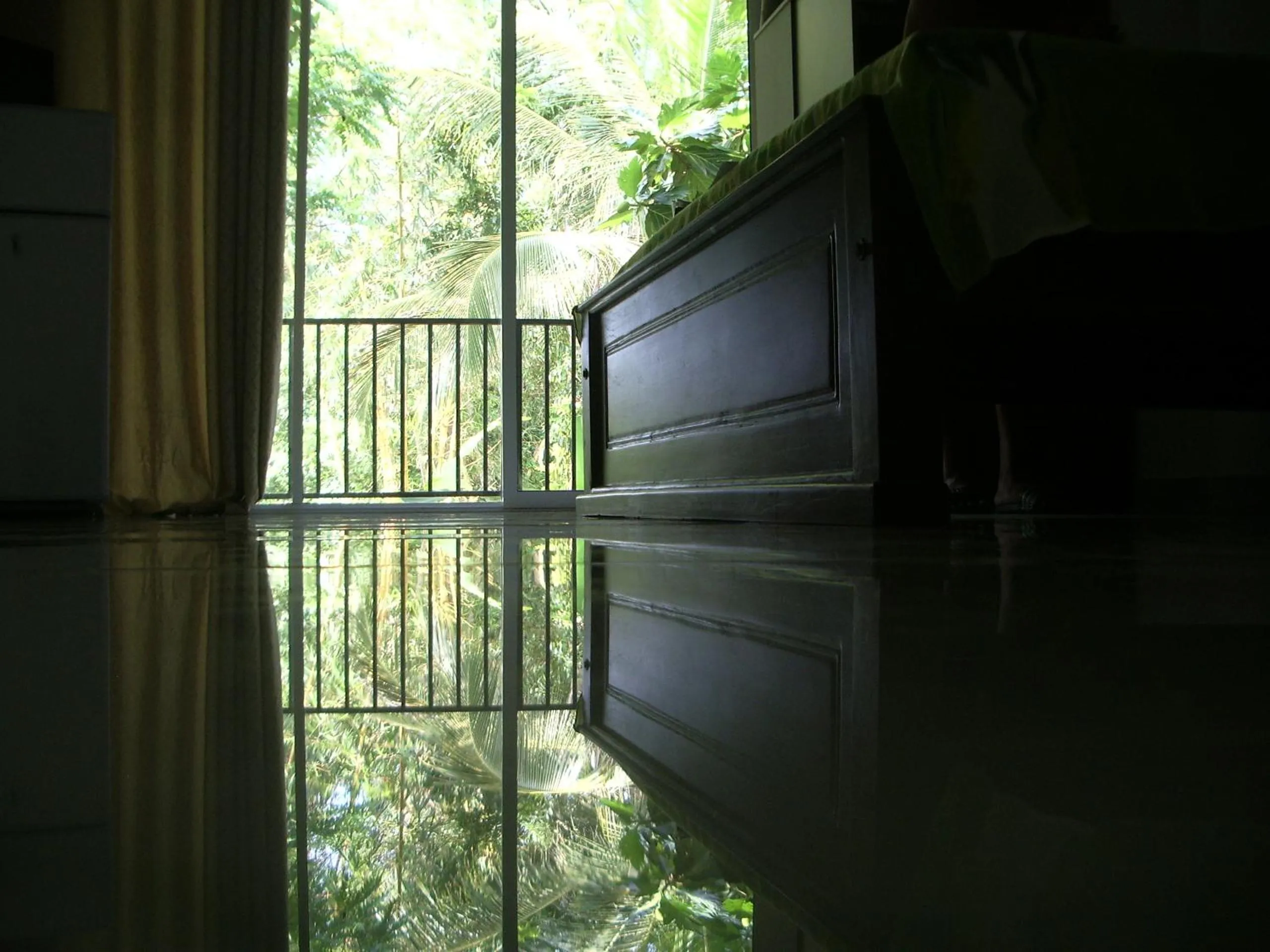 Garden view in Hotel "Diana"