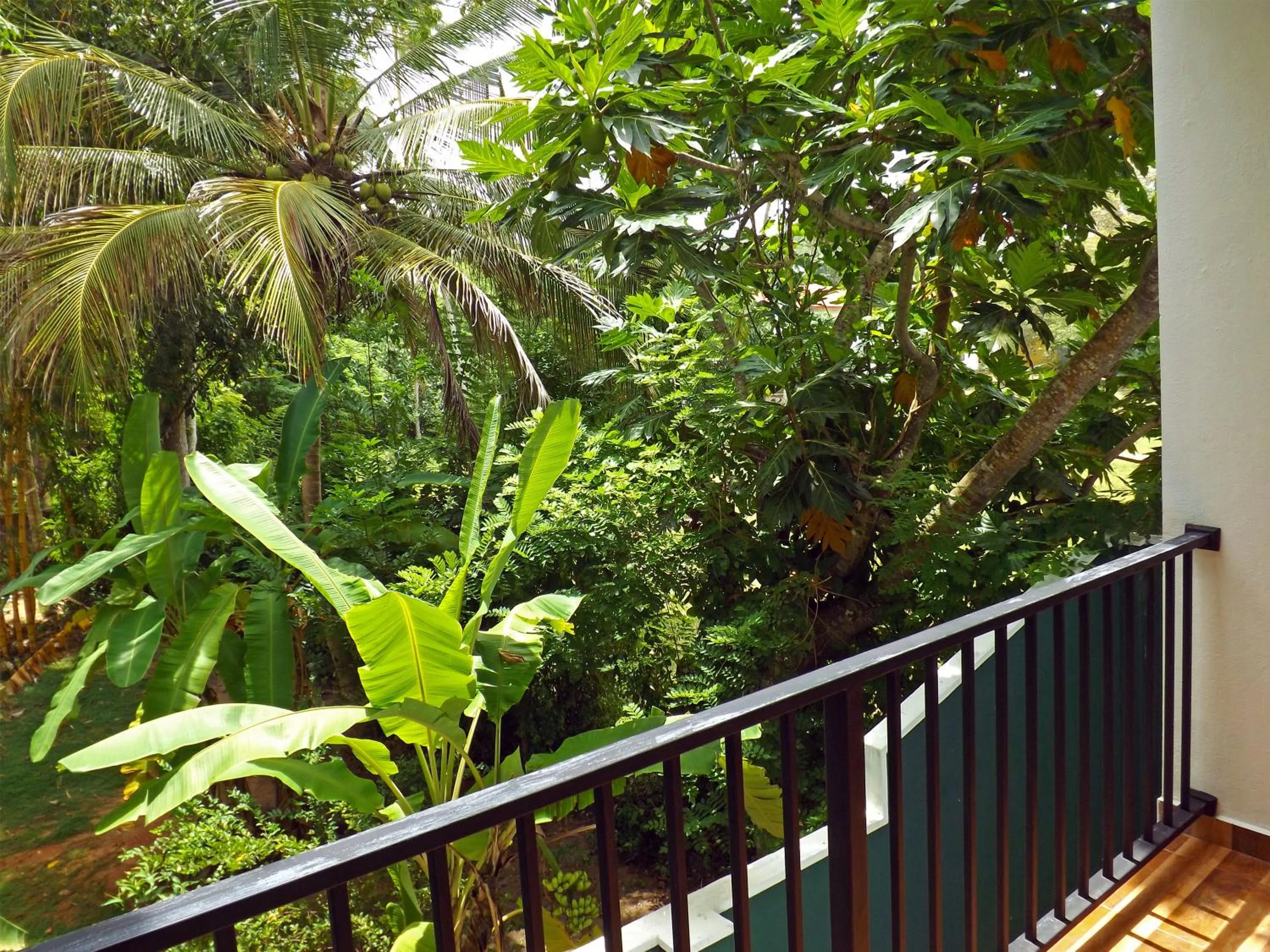 Balcony/Terrace in Hotel "Diana"