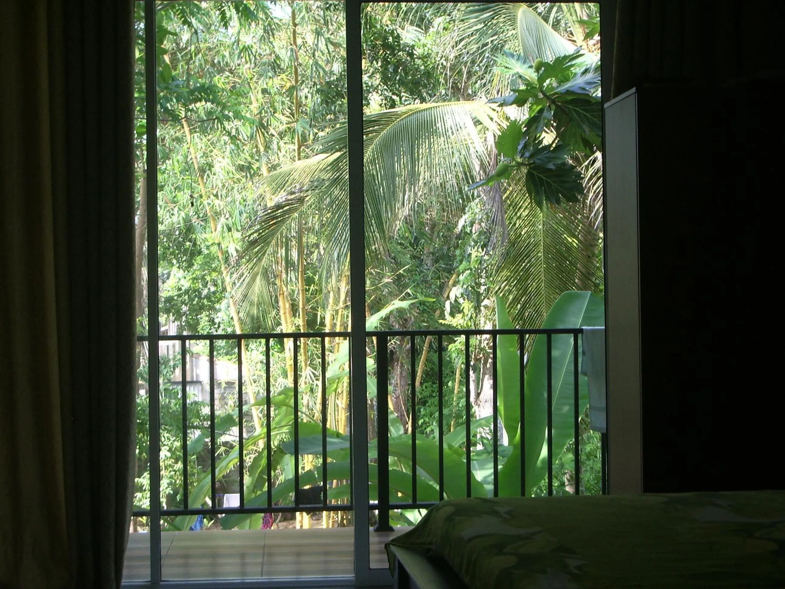 View (from property/room) in Hotel "Diana"