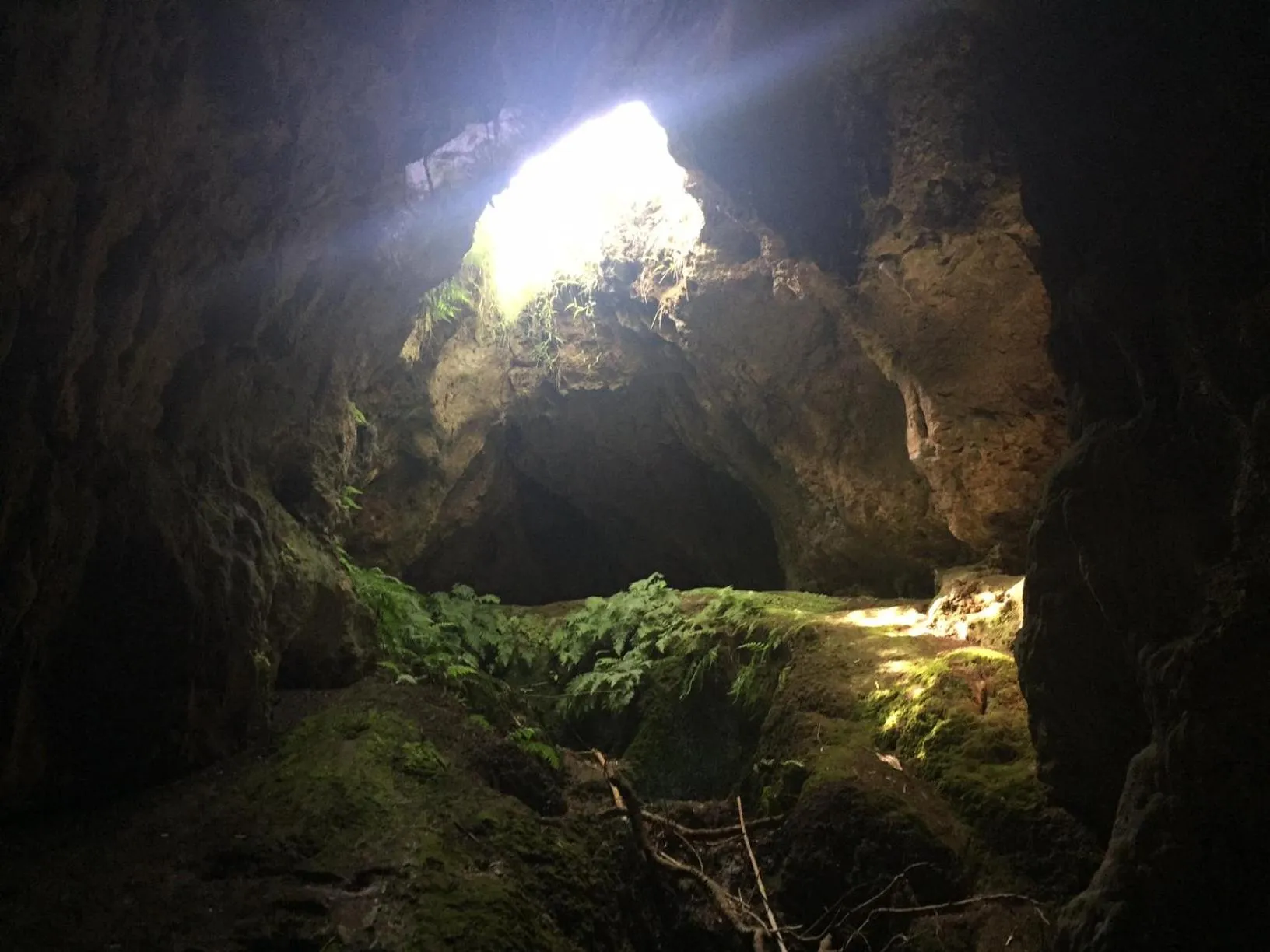 Natural landscape in House of Tonga