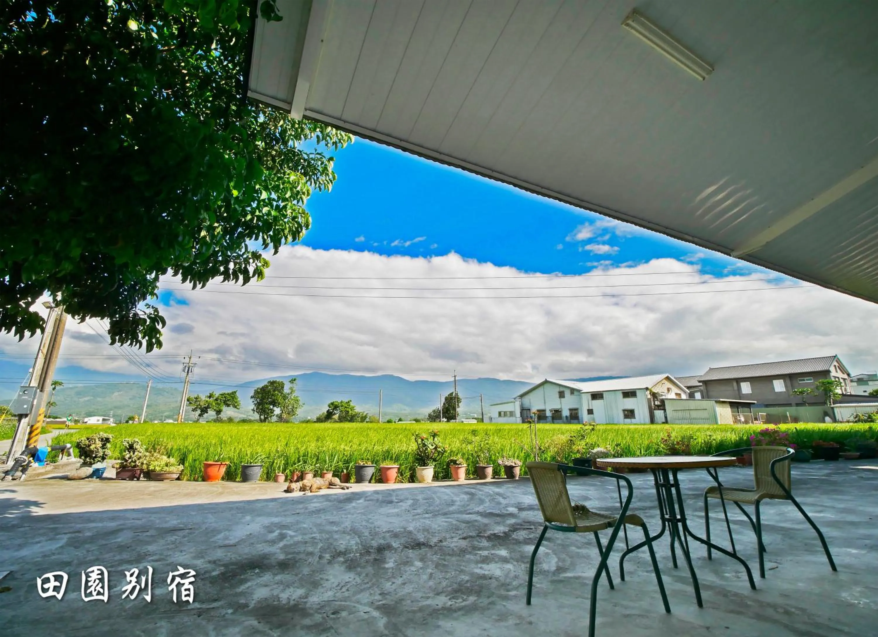 Garden view in Brownbnb