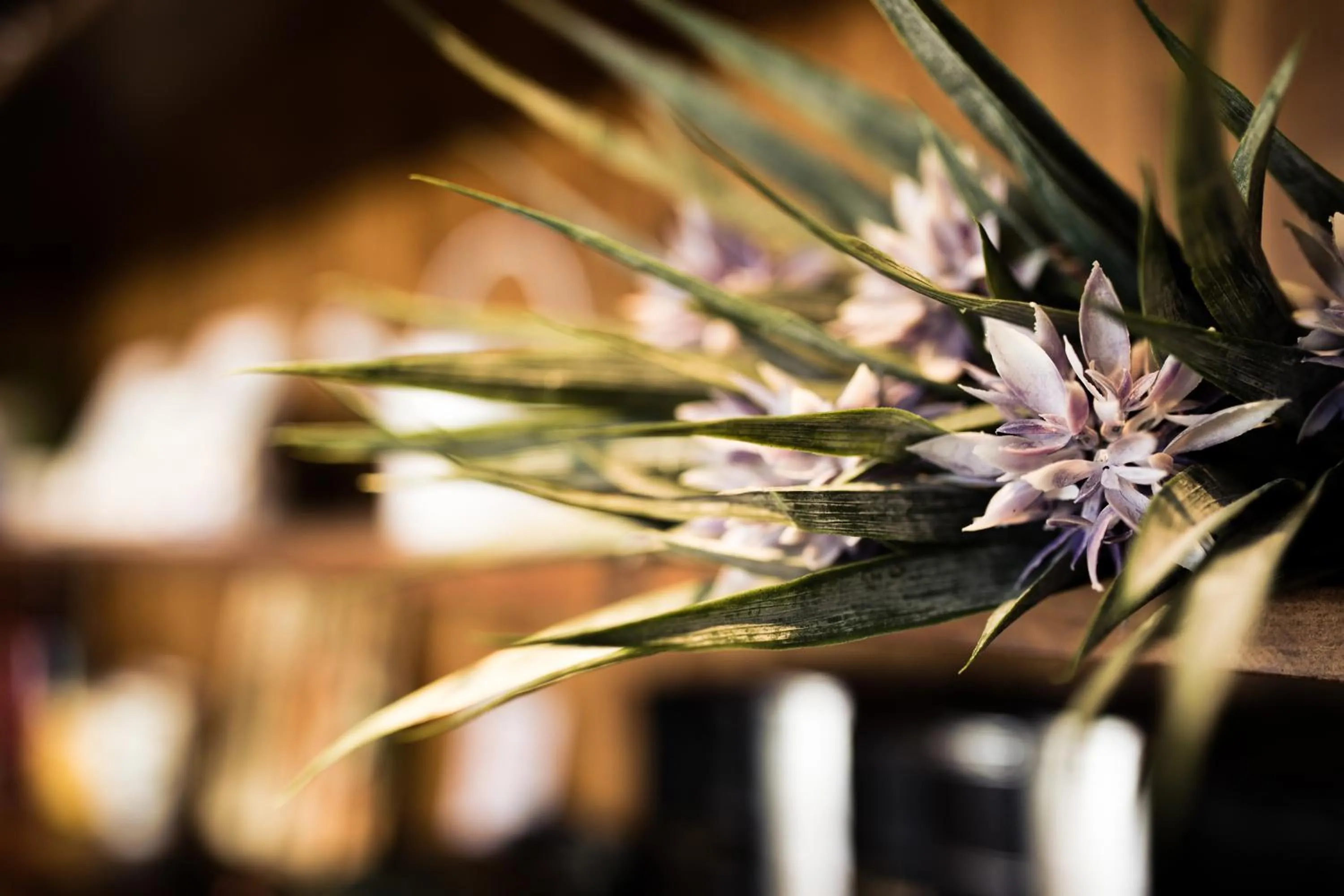 Decorative detail in Haku Beach Days Inn