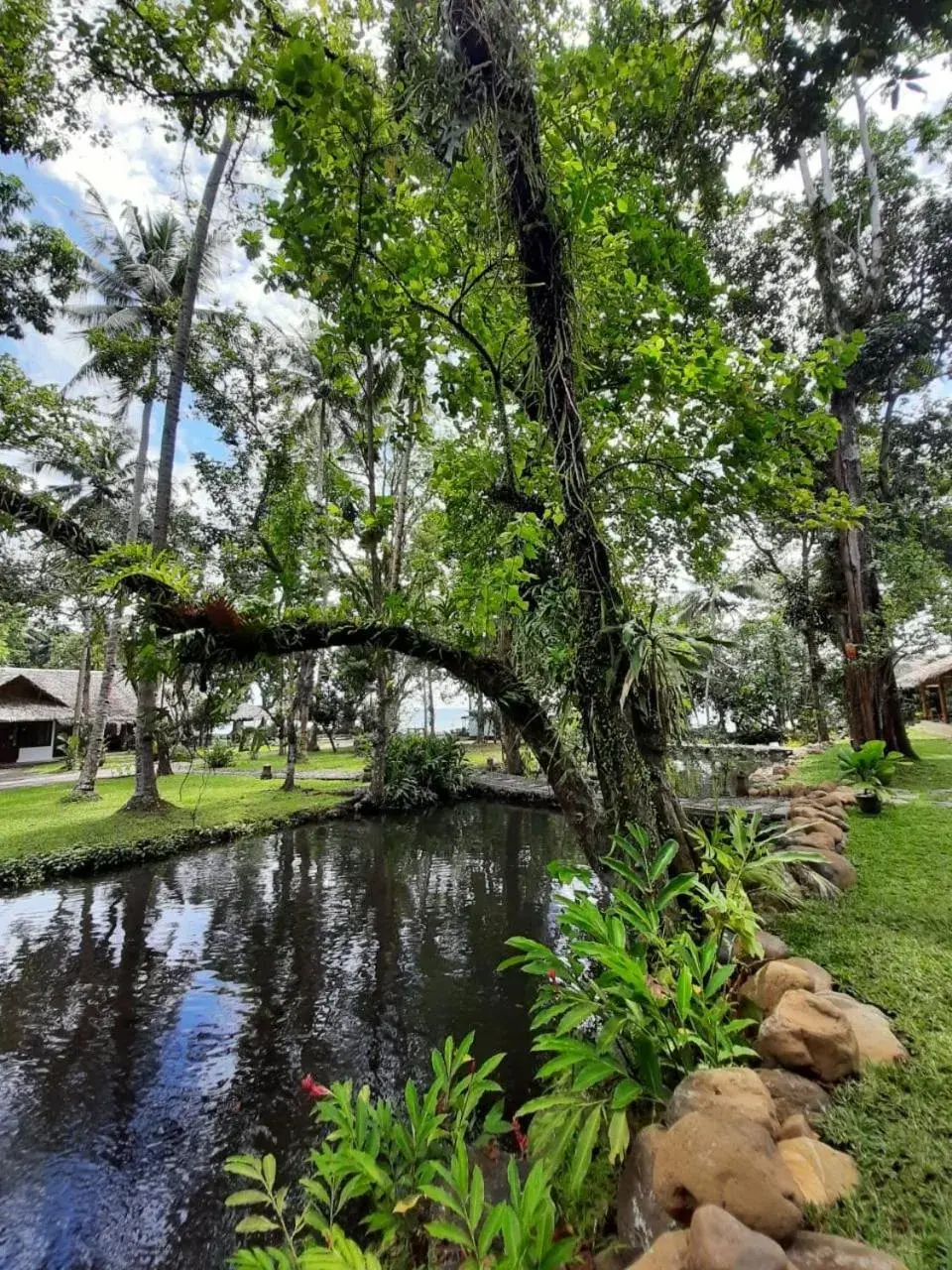 Garden in Murex Dive Resort