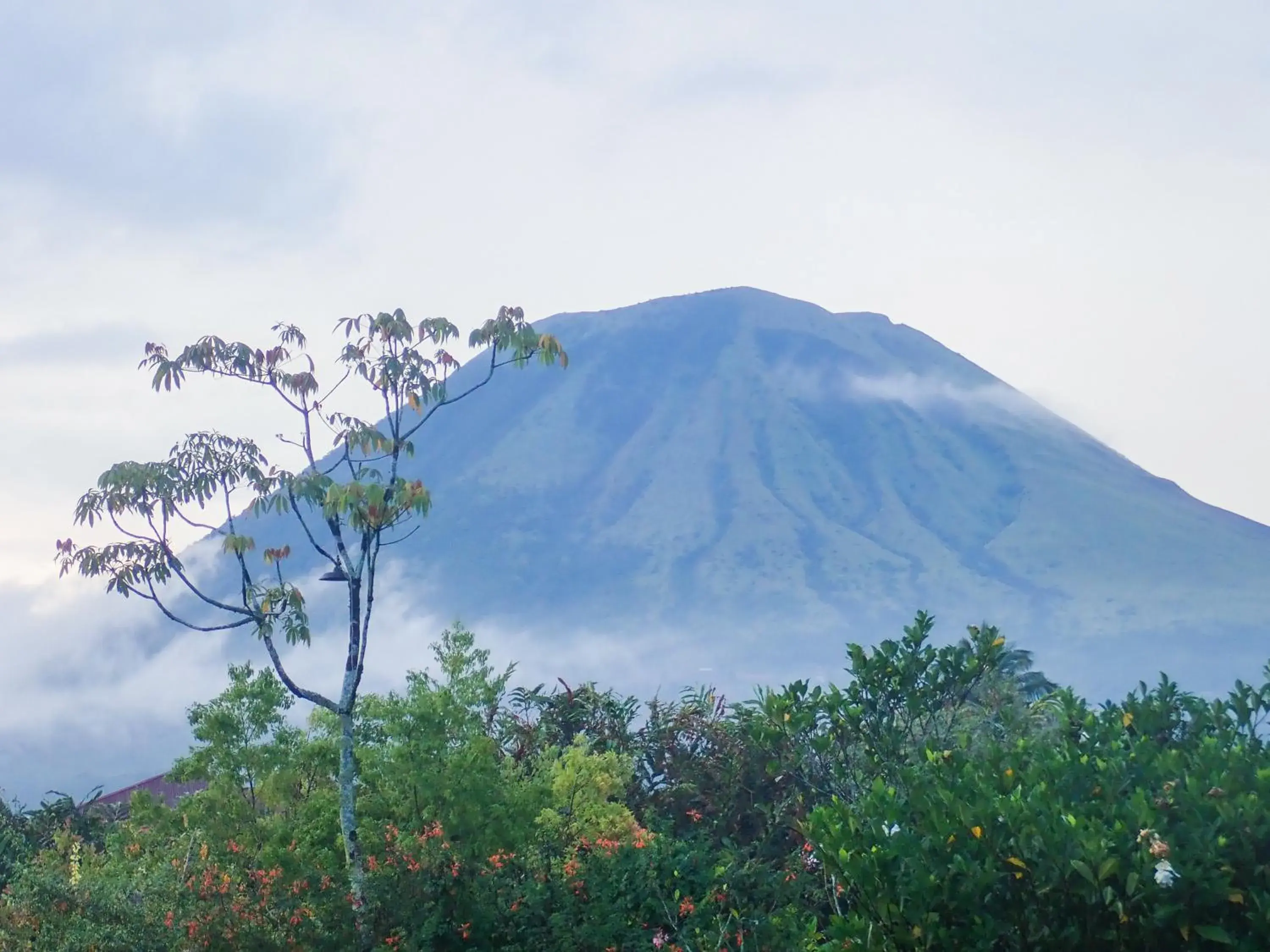 Off site, Mountain View in Murex Dive Resort